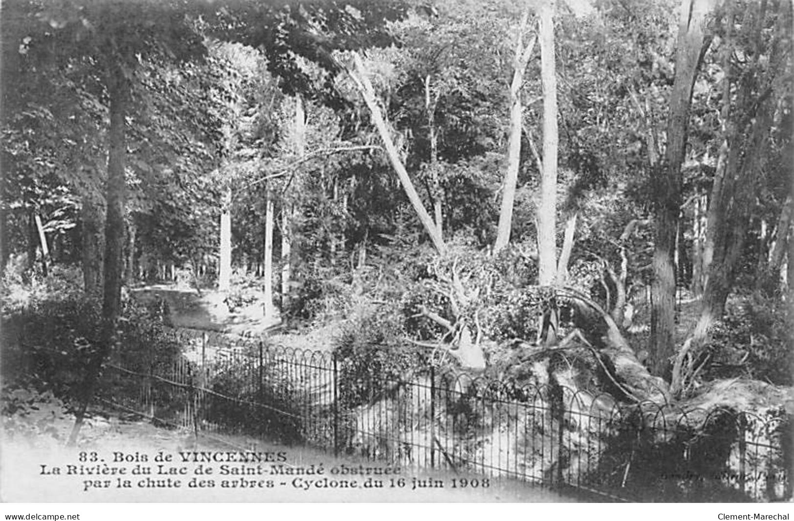 PARIS - Bois De Vincennes - La Rivière Du Lac De Saint Mandé Obstruée Par La Chute Des Arbres - Cyclone - Très Bon état - Paris (16)