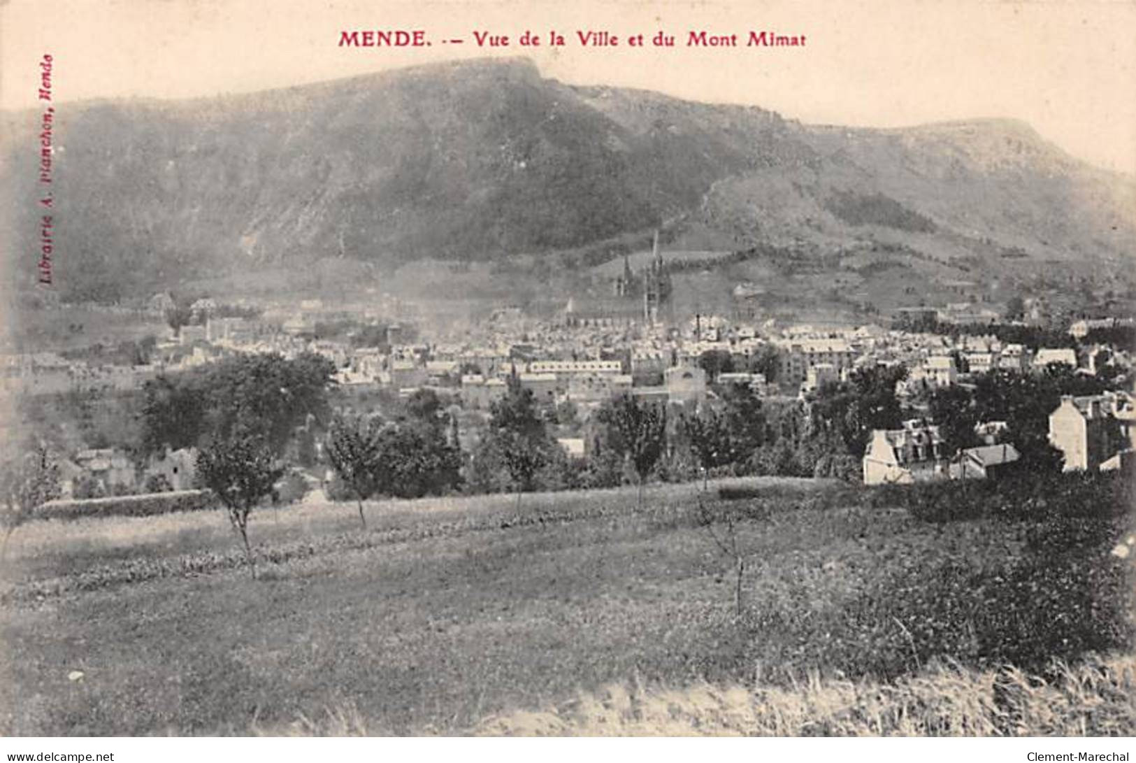 MENDE - Vue De La Ville Et Du Mont Mimat - Très Bon état - Mende