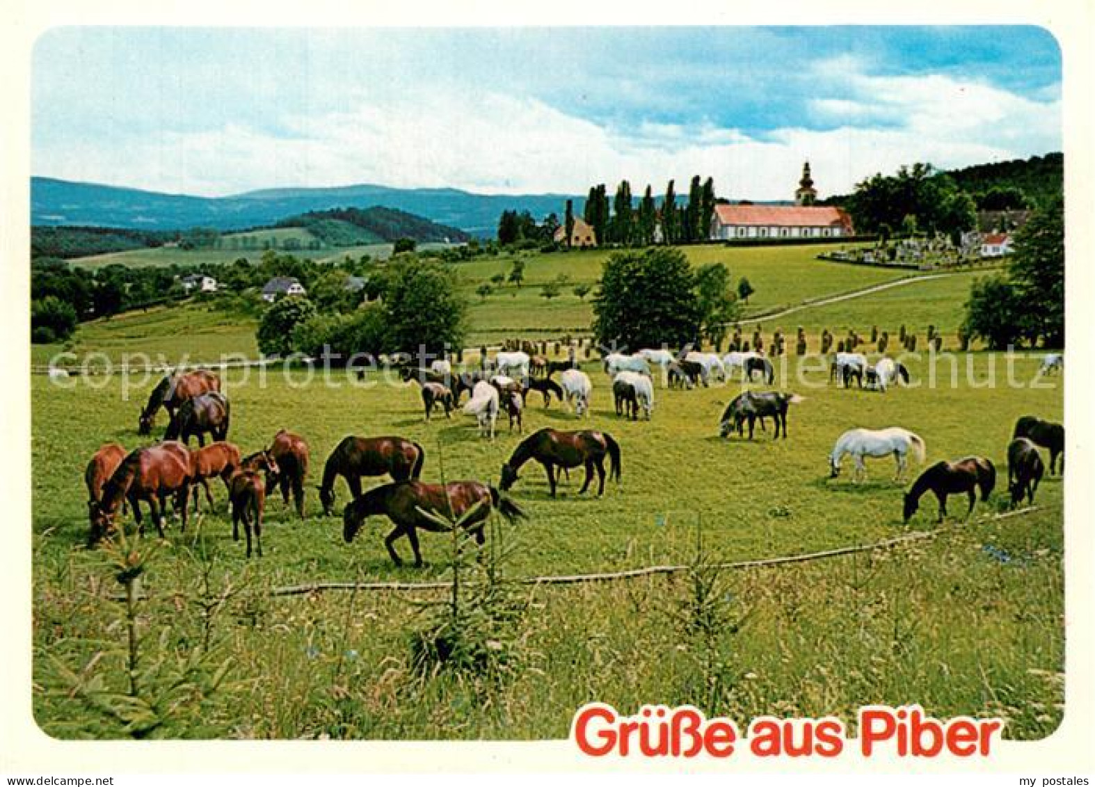 73602332 Piber Koeflach Lipizzanergestuet Pferdekoppel Piber Koeflach - Sonstige & Ohne Zuordnung