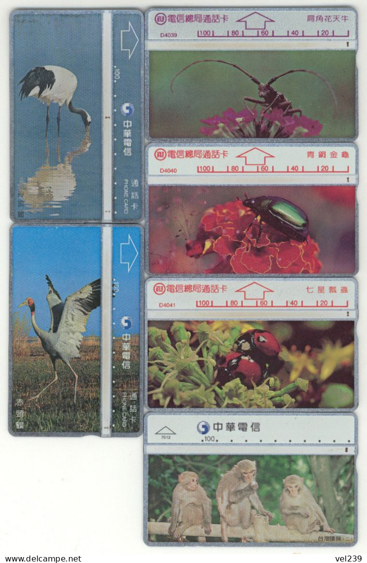 Taiwan. Bird. Insect. Monkey - Taiwan (Formosa)