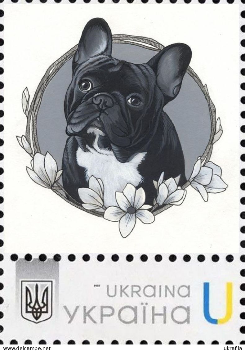Ukraine 2023, Fauna, Dog, French Bulldog, Art, 1v - Ukraine