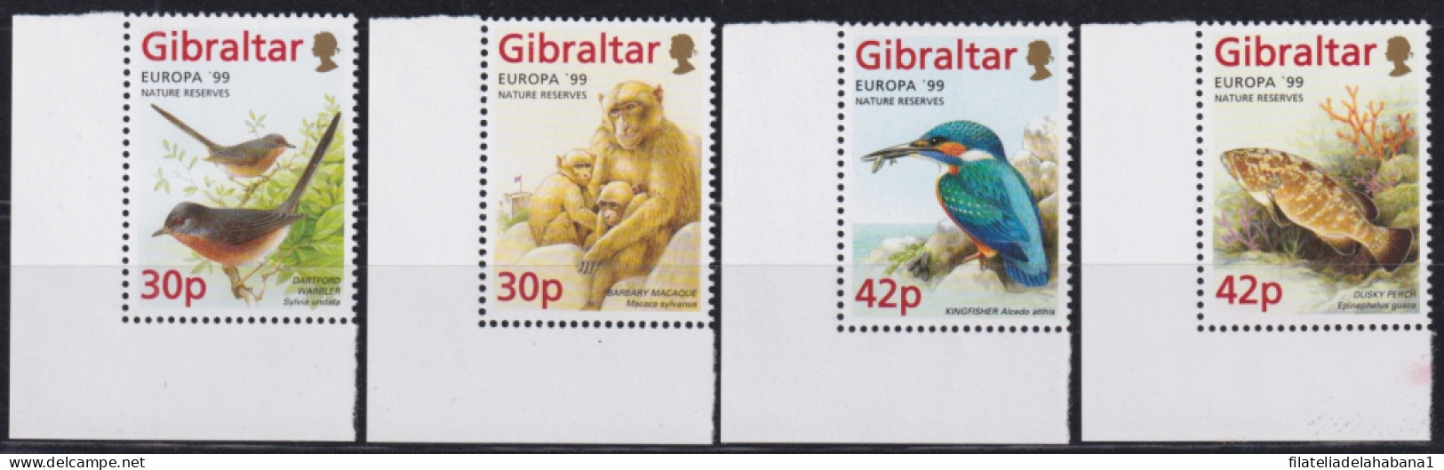 F-EX50154 GIBRALTAR MNH 1999 EUROPE CEPT WILDLIFE BIRD AVES FISH MONKEY & GARDEN.  - Unused Stamps
