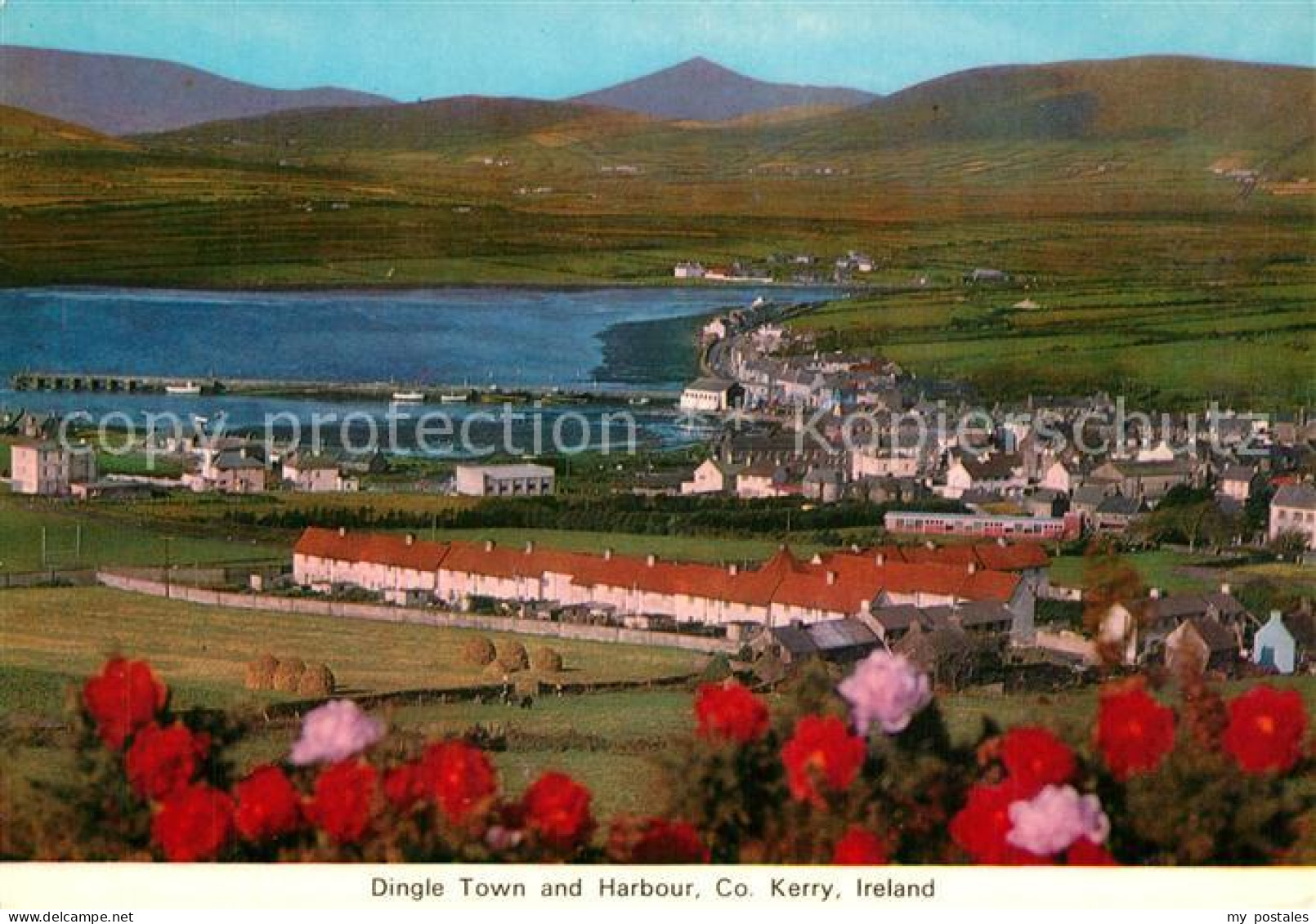 73599761 Dingle Kerry Panorama Town And Harbour Dingle Kerry - Andere & Zonder Classificatie