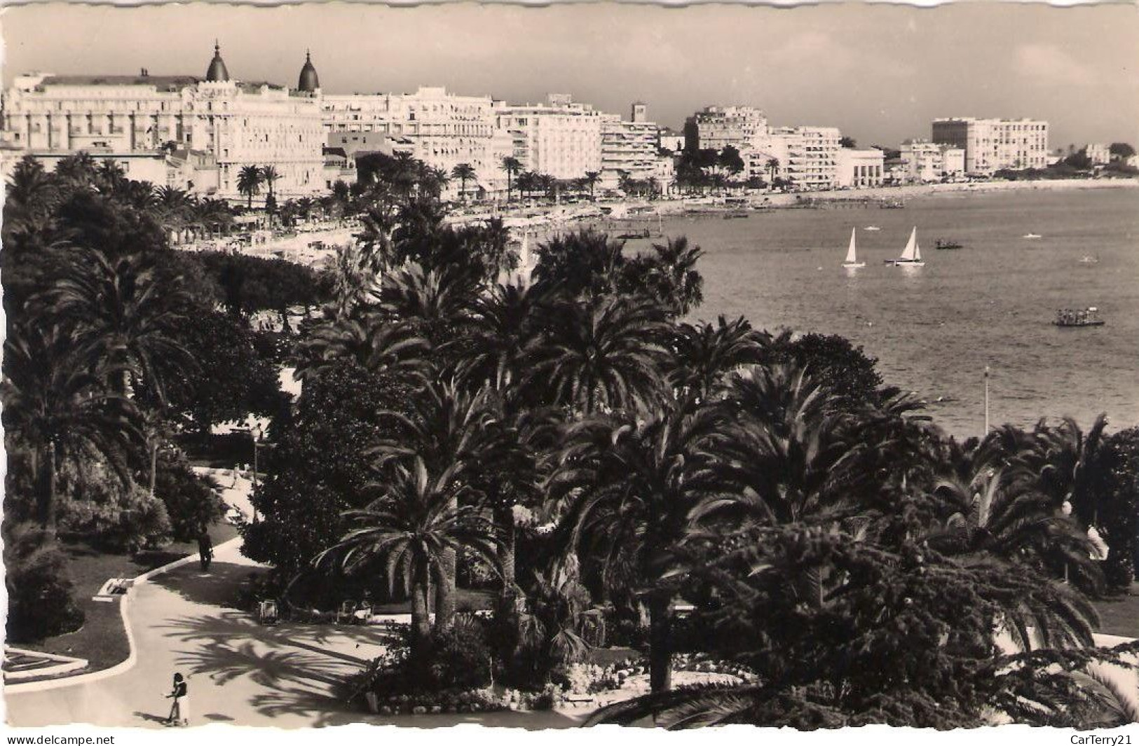 06. CANNES. JARDINS ET HÔTELS SUR LA CROISETTE. 1960. - Cannes