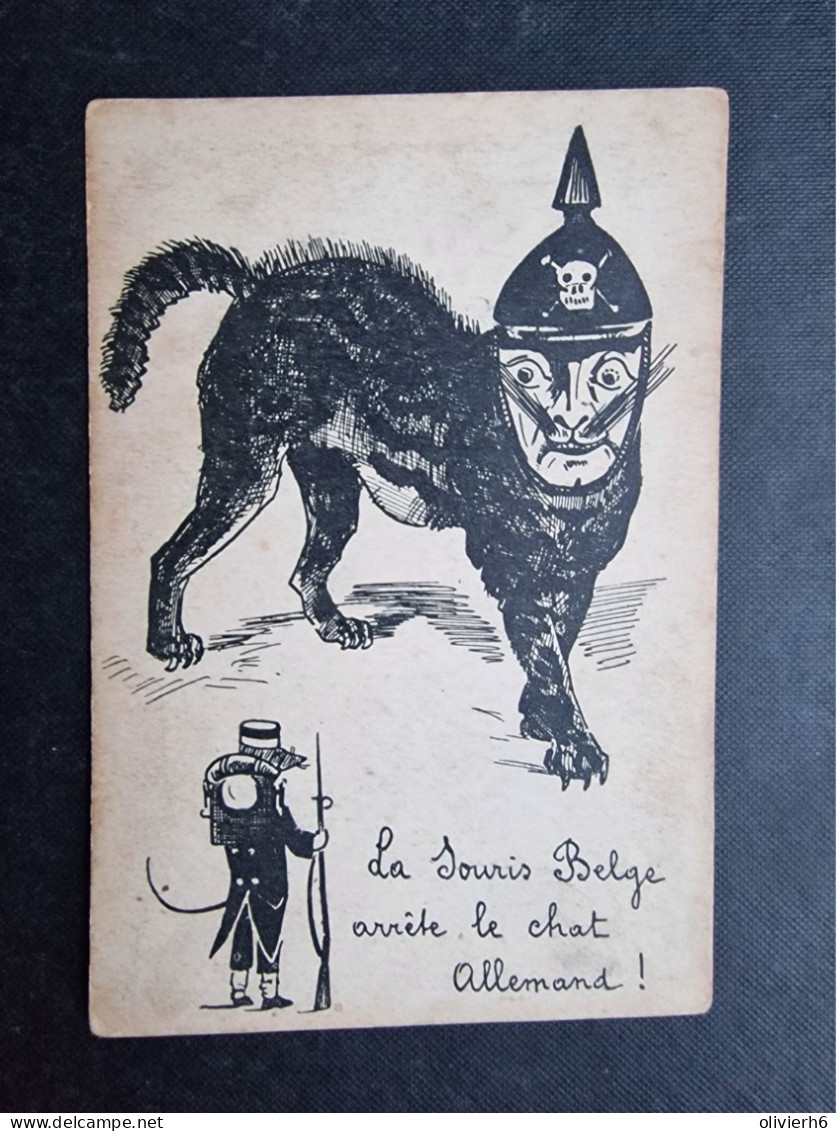 LOT 5 CP BELGIQUE (M2408) CARTE PATRIOTIQUE (11 vues) Manneke Pis - Liège - La souris Belge arrête le chat Allemand