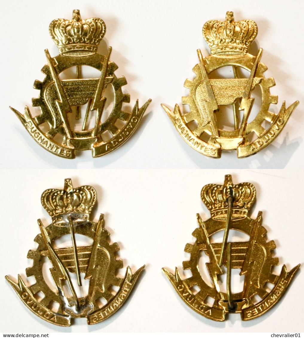 Militaria-BE-terre-insigne_logistique_02_doré_pugnantes Adjuvo_2 Insigne_R01_20-22 - Army