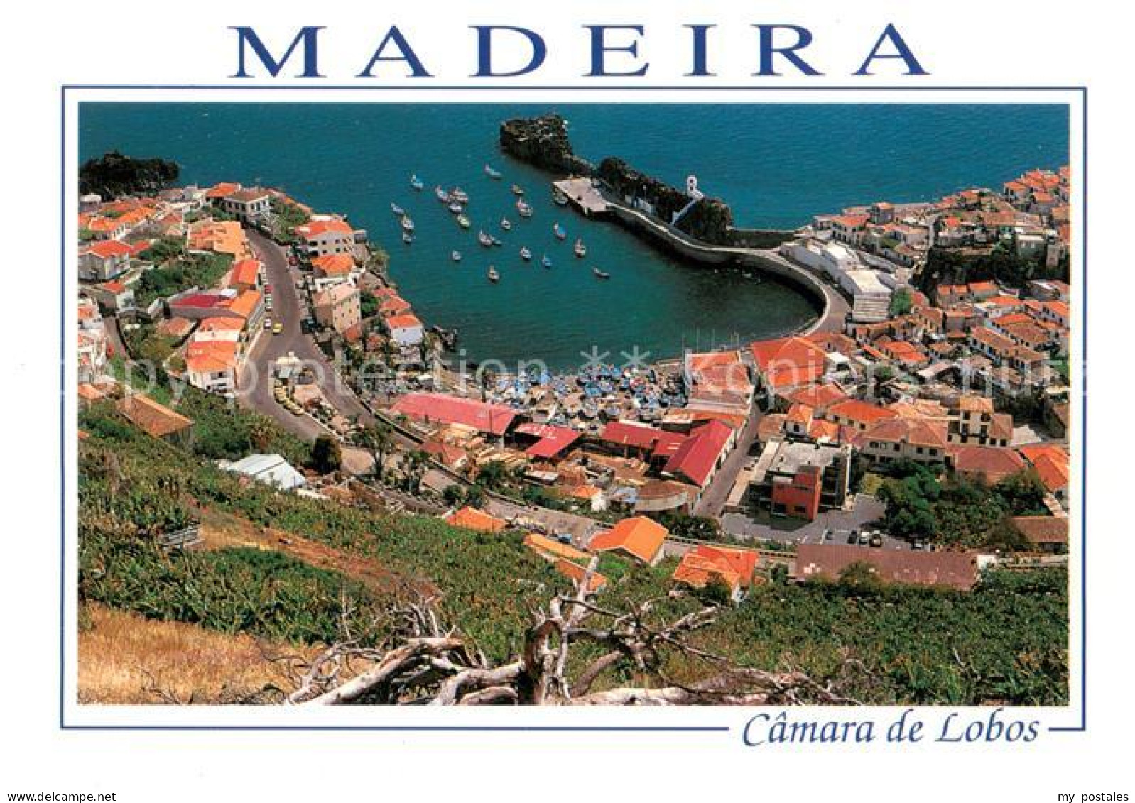 73599360 Camara De Lobos Madeira  Portugal Vista General Do Porto  - Madeira