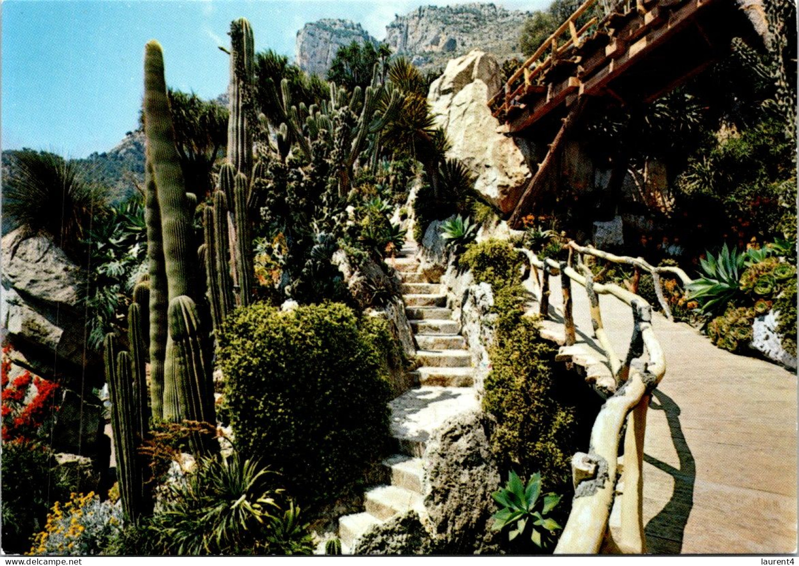 4-5-2024 (4 Z 6) Monaco - Cactus Garden - Jardín Exótico