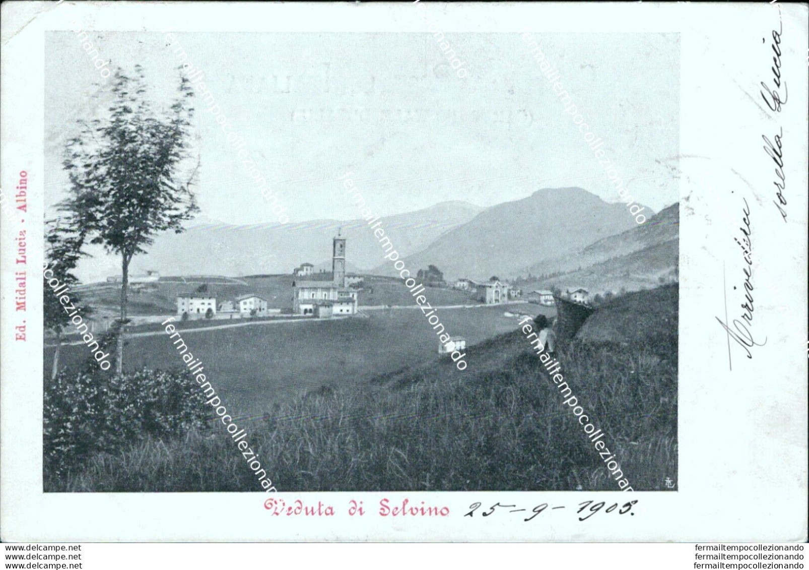 Bs367 Cartolina  Veduta Di Selvino 1903 Provincia Di Bergamo  Lombardia - Bergamo