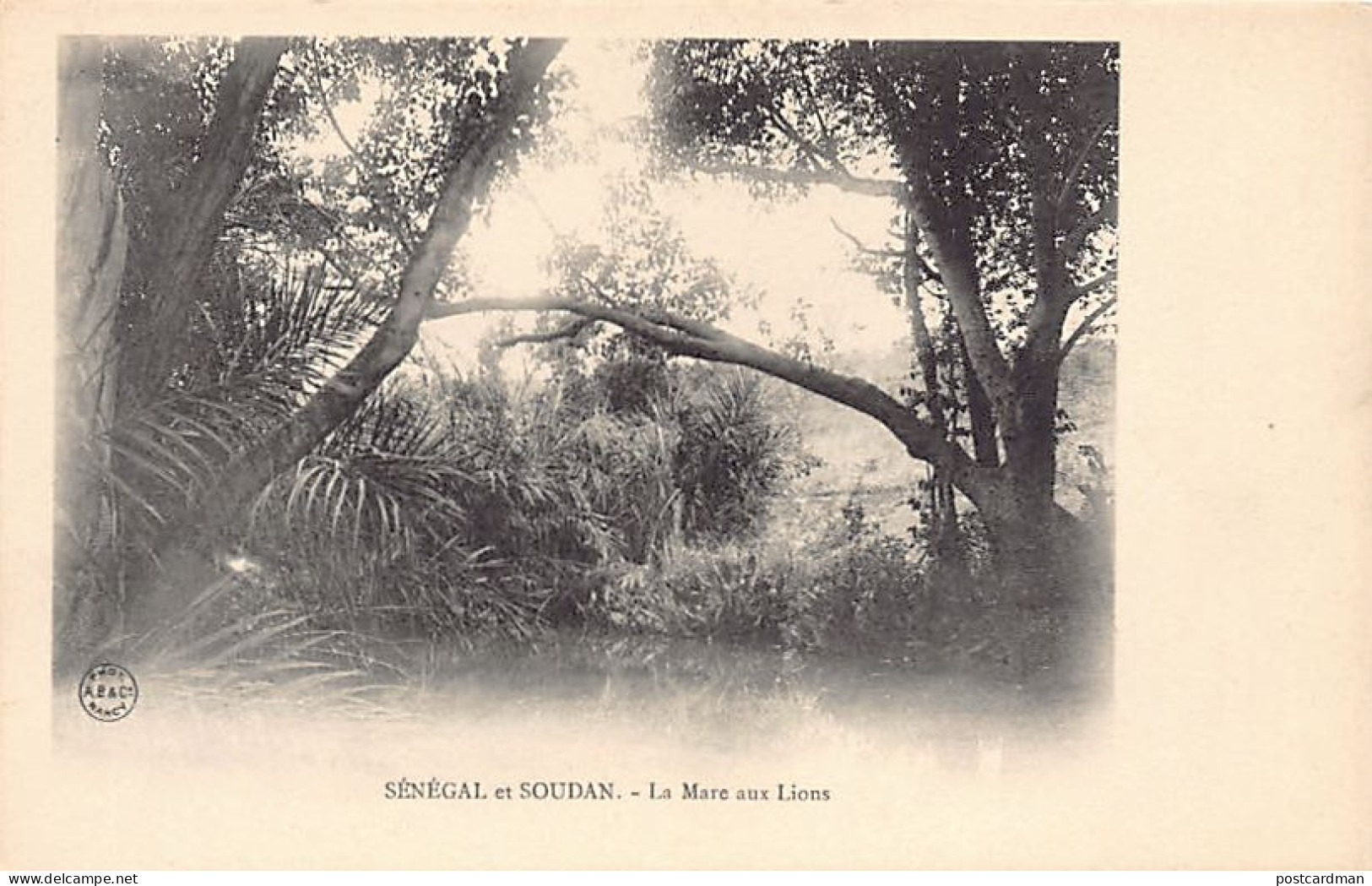 Mali - La Mare Aux Lions - Ed. A. Bergeret & Cie  - Mali