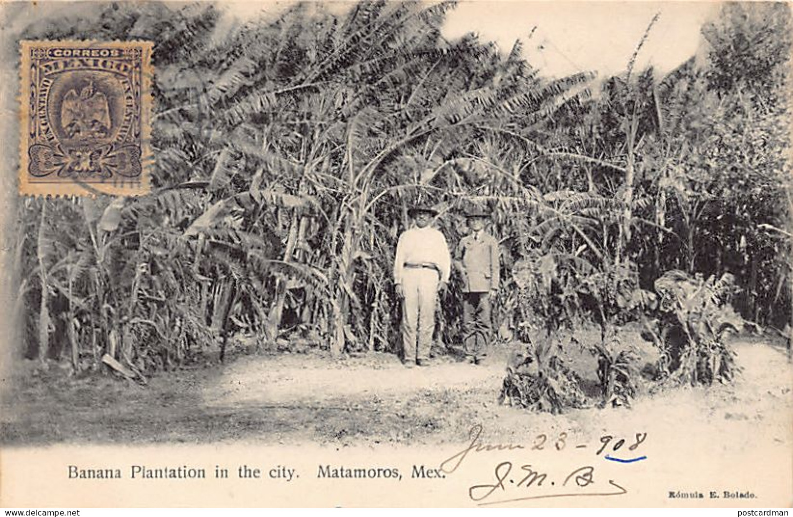 México - MATAMOROS - Banana Plantation In The City - Ed. Romula E. Bolado  - Mexique