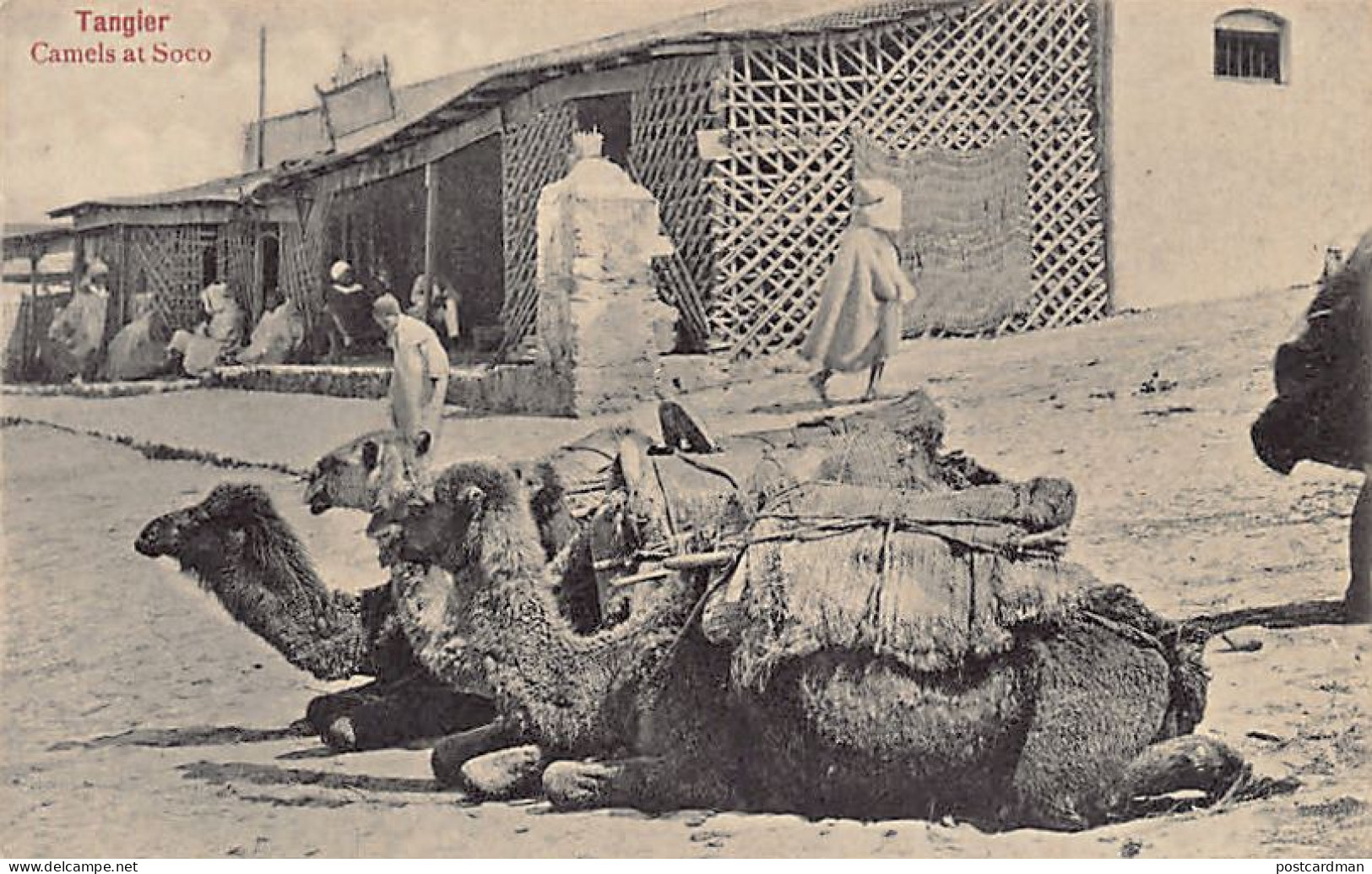 Maroc - TANGIER Tanger - Camels At Soco - Ed. V. B. Cumbo  - Tanger