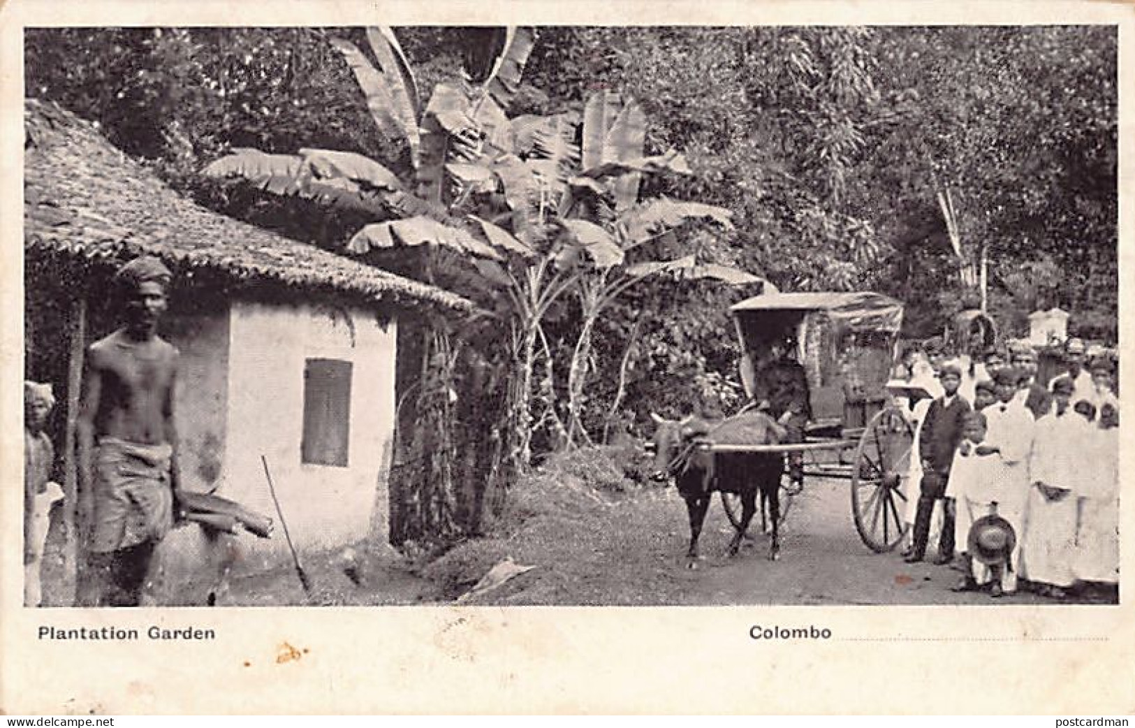 SRI LANKA - Plantation Garden - Publ. Unknown  - Sri Lanka (Ceylon)