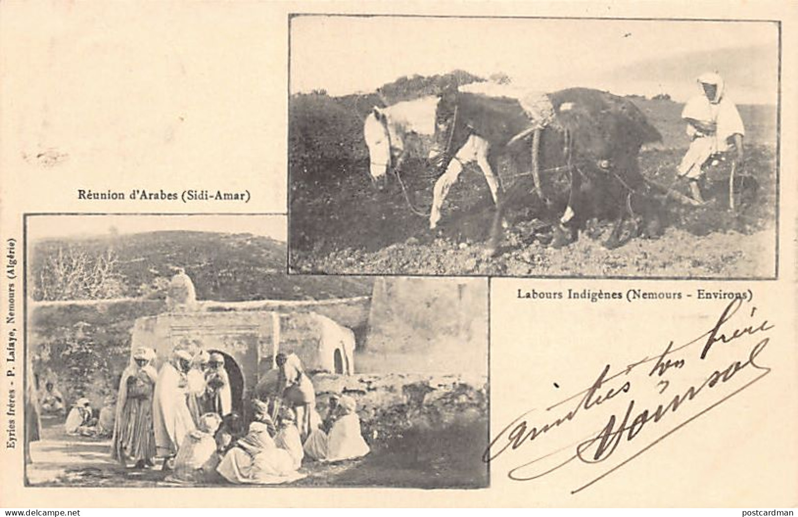 Algérie - NEMOURS Ghazaouet - Labours Indigènes - Réunion D'arabes (Sidi-Amar) - Ed. Eyries Frères - P. Lafaye  - Altri & Non Classificati