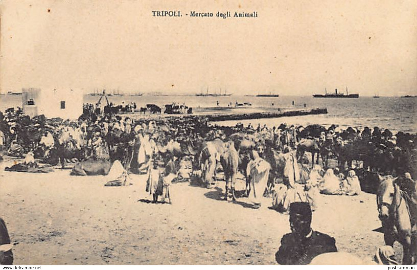 Libya - TRIPOLI - Animal Market - Libye