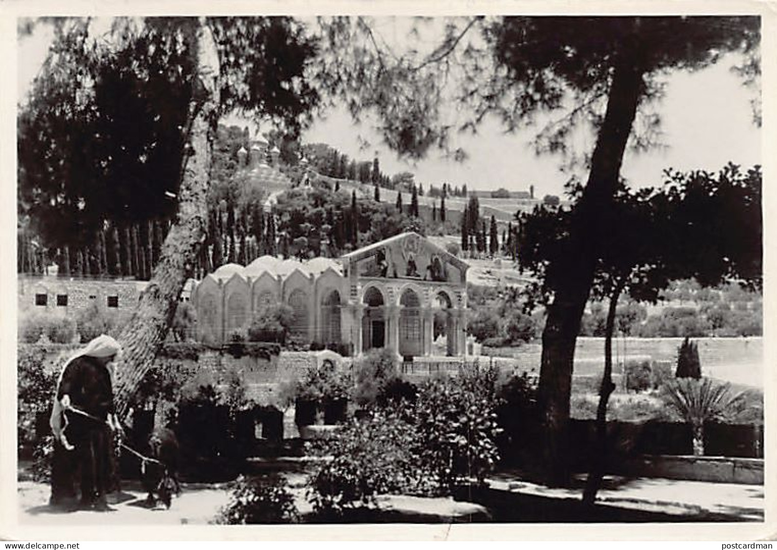 Palestine - JERUSALEM - Garden Of Gethsemane - REAL PHOTO - Publ. G. Semerdjian Photo-Rex - Palestine