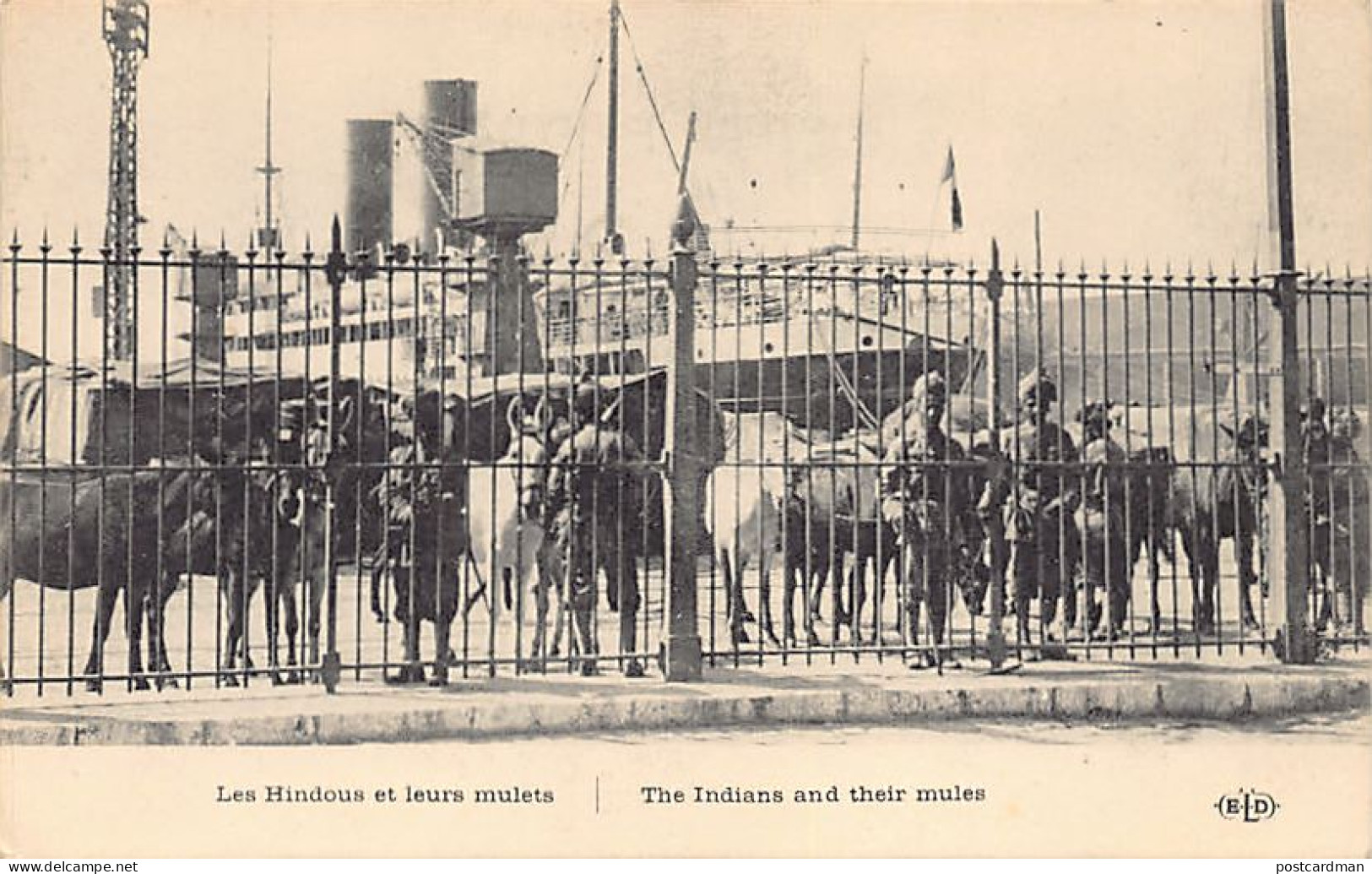 India - Indian Expeditionary Force - Hindu Soldiers And Mules Arriving In France - Publ. E. Le Deley E.L.D.  - India
