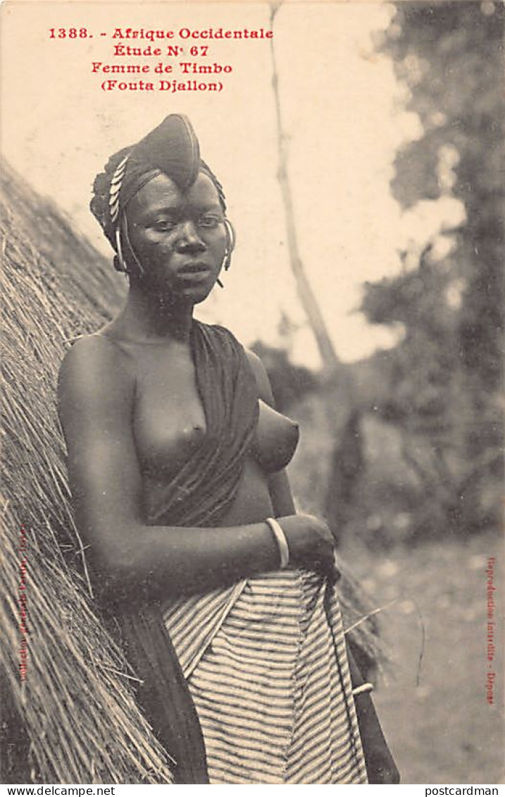 Guinée Conakry - NU ETHNIQUE - Femme De Timbo (Fouta Djallon) - Etude N. 67 - Ed. Fortier 1388 - Guinée