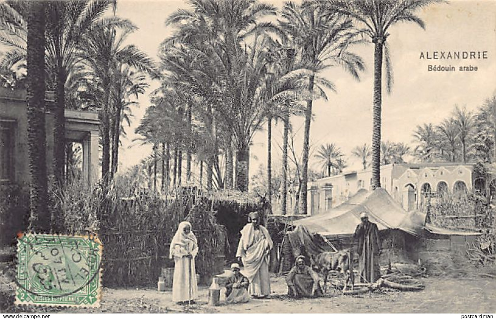 Egypt - ALEXANDRIA - Arab Bedouin - Publ. Dr. Trenkler Co. Ala. 36 - Alexandrie