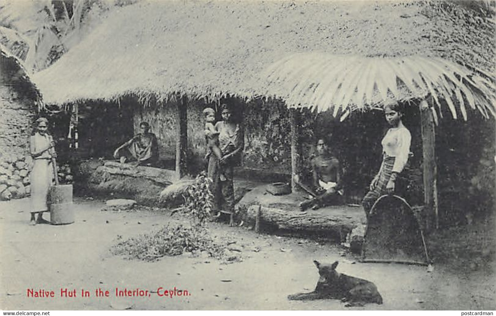 SRI LANKA - Native Hut In The Interior - Publ. Plâté & Co. 294 - Sri Lanka (Ceylon)