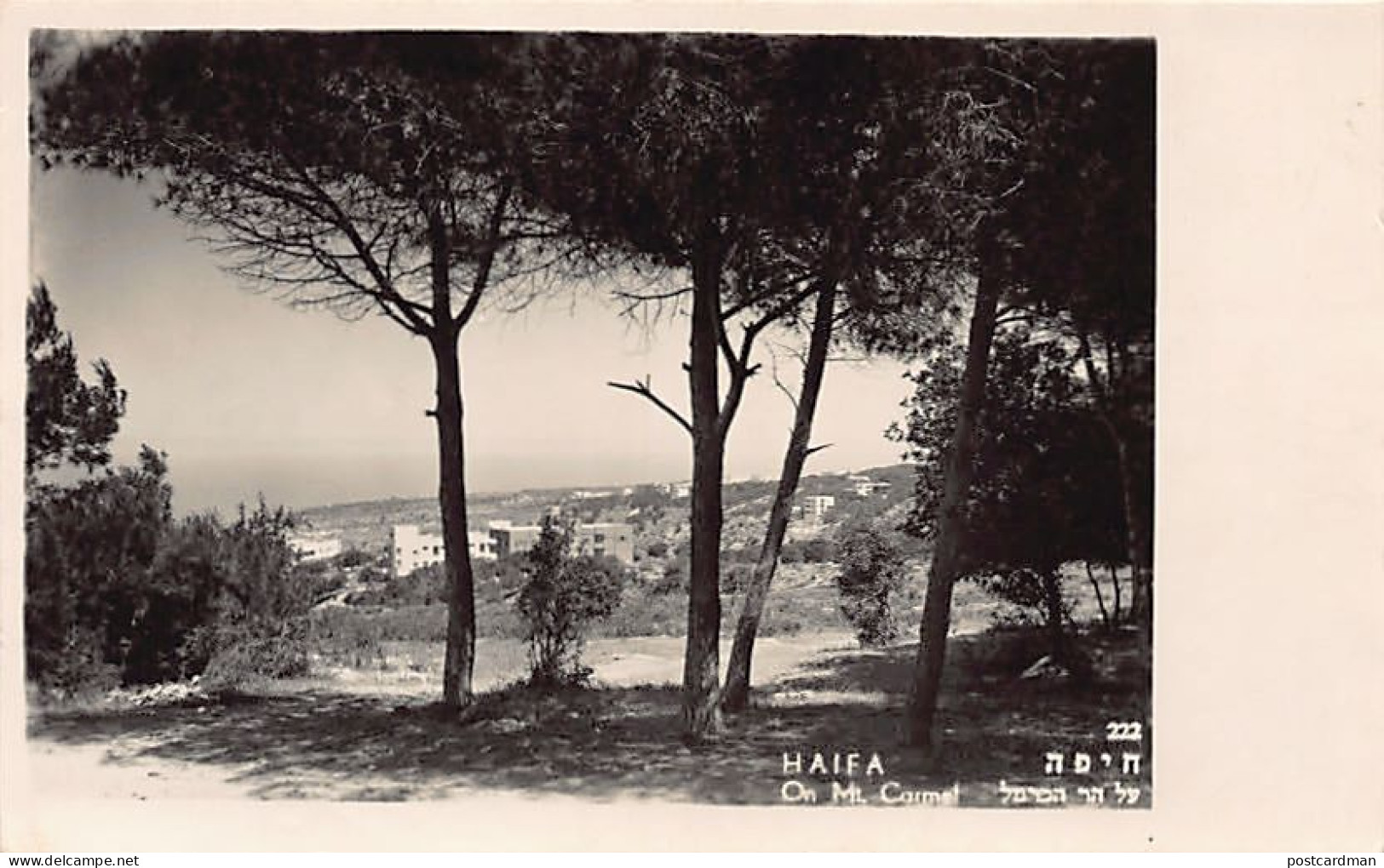 Israel - HAIFA - On Mt. Carmel - Publ. Palphot 222 - Israel