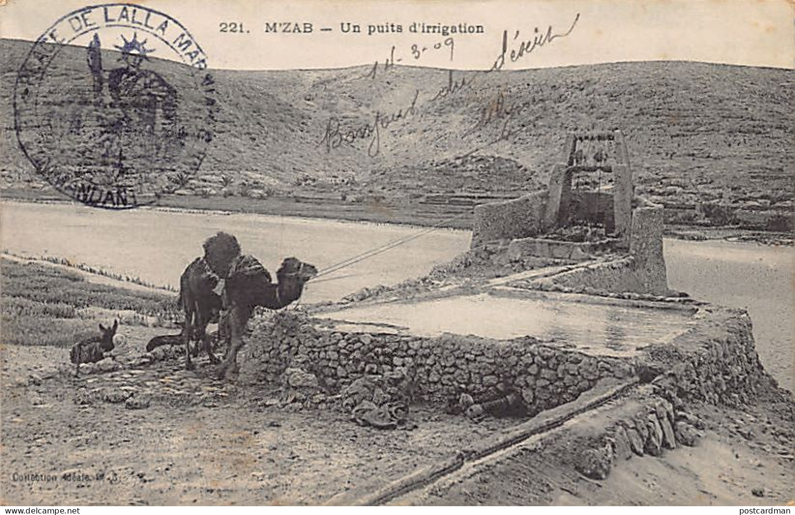 Algérie - M'ZAB - Un Puits D'irrigation - Ed. Collection Idéale P.S. 221 - Scènes & Types