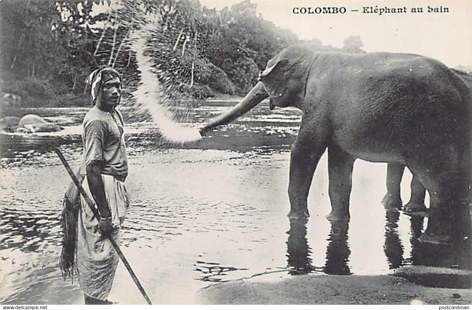 Sri Lanka - Elephant Bathing - Publ. Messageries Maritimes  - Sri Lanka (Ceilán)