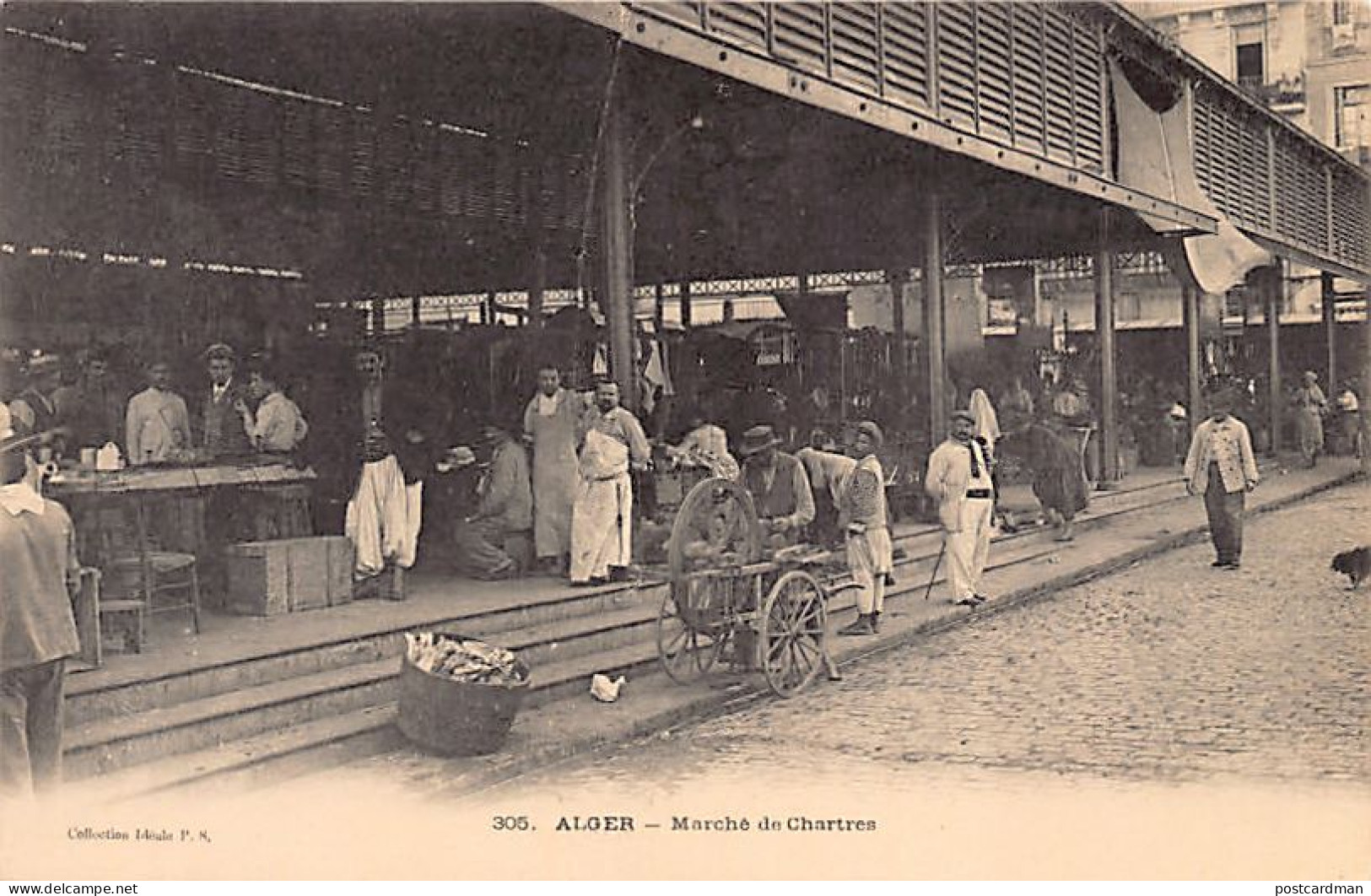 ALGER - Marché De Chartres - Rémouleur - Algerien