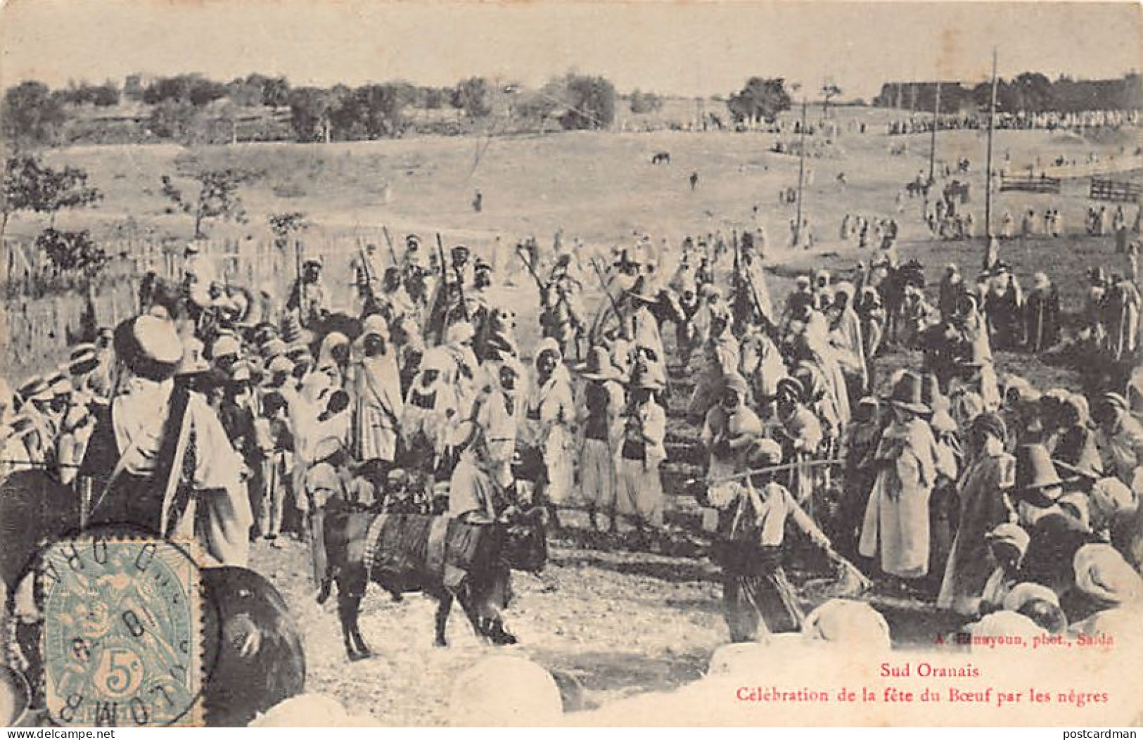 SAIDA Célébration De La Fête Du Boeuf Par Les Nègres - Ed. Benayoun - Saïda