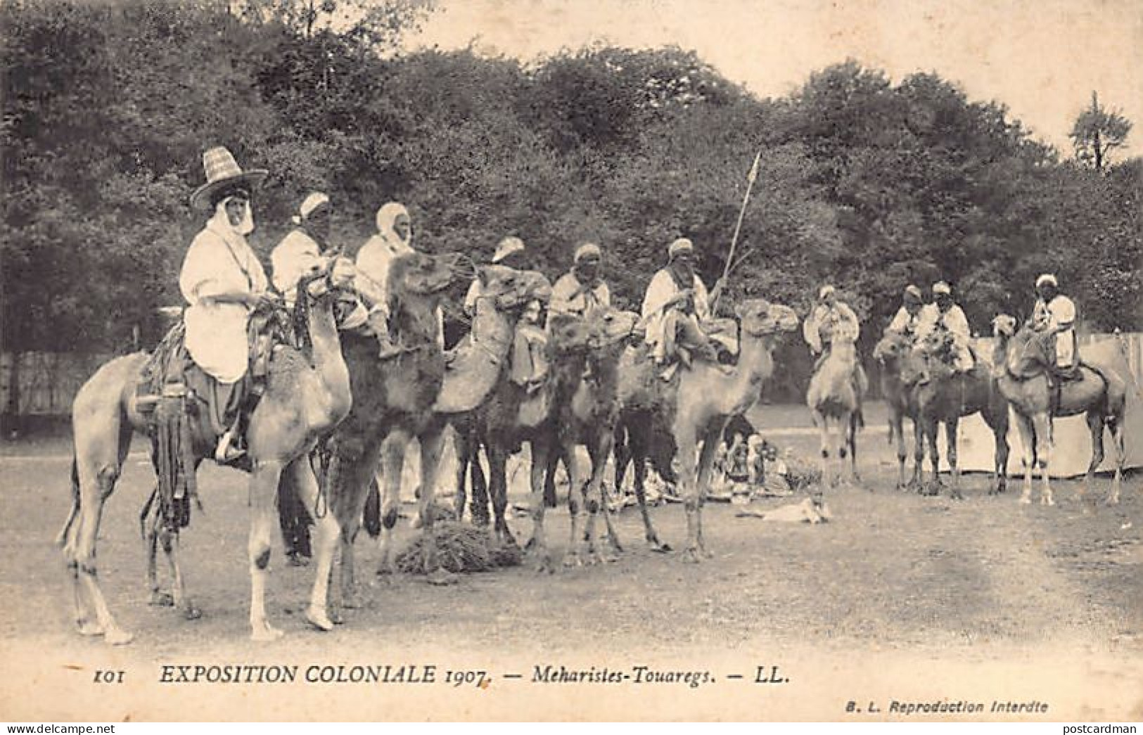 Algérie - Méharistes Touaregs à L'Exposition Coloniale De 1907 - Ed. B. L. 101 - Scene & Tipi