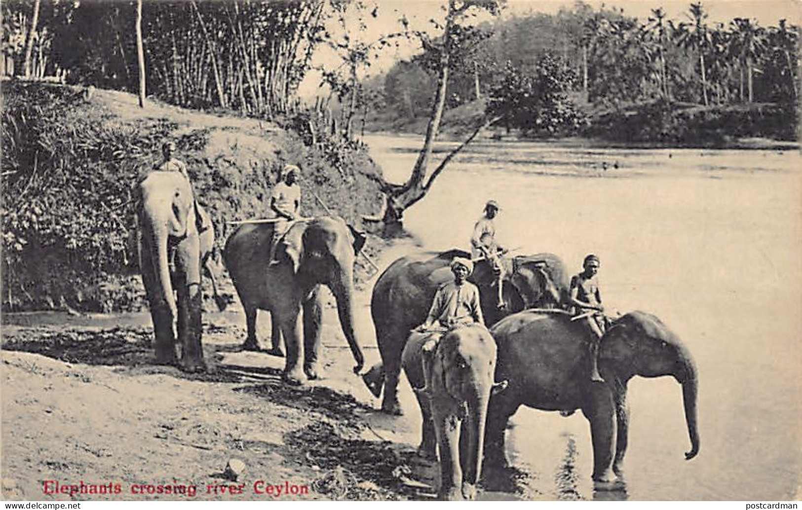 Sril Lanka - Elephants Crossing River - Publ. M. B. Uduman - The Travellers Mart 126 - Sri Lanka (Ceilán)