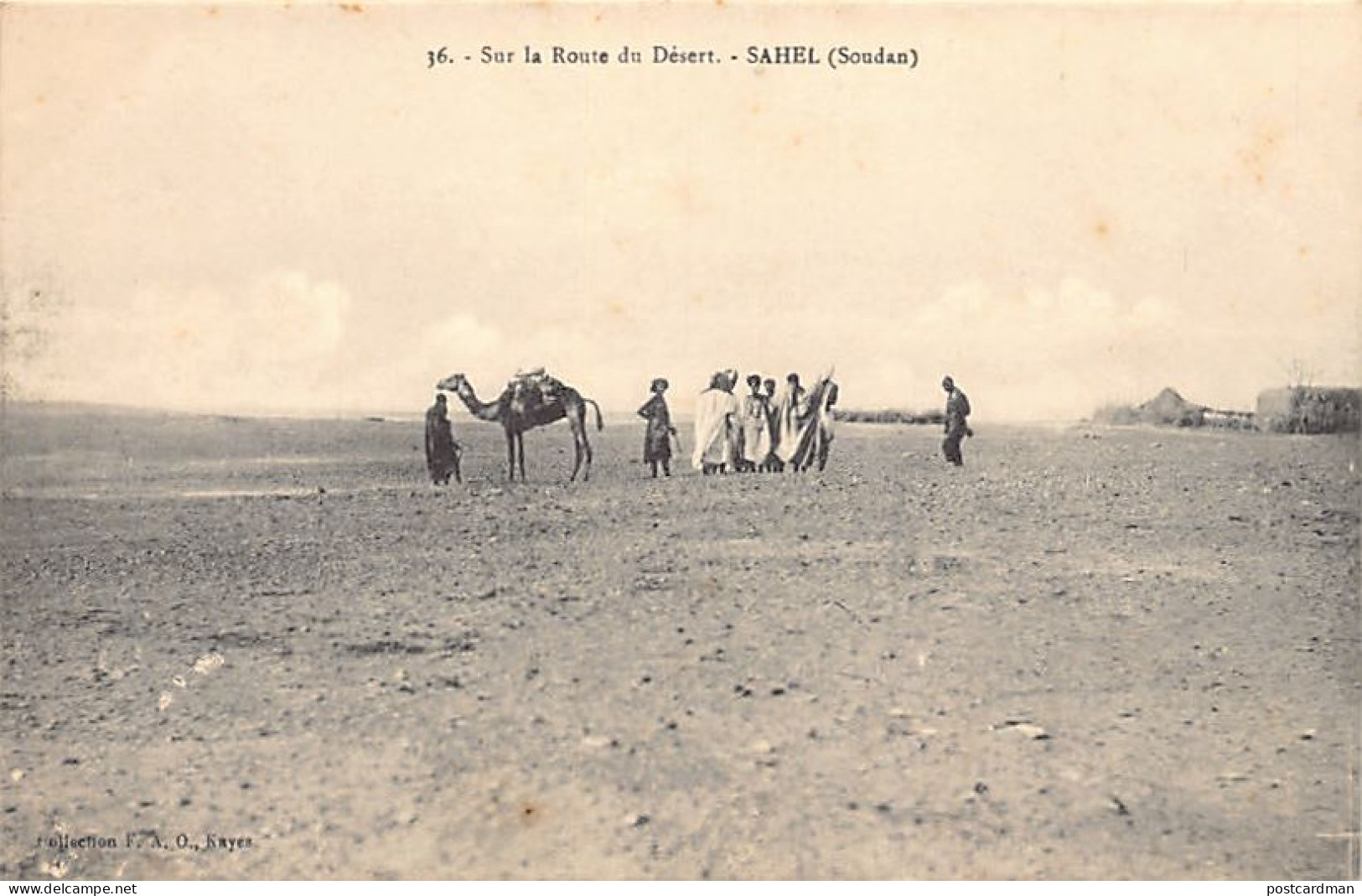 Mali - Sur La Route Du Désert Dans Le Sahel - Ed. C.F.A.O. 36 - Mali