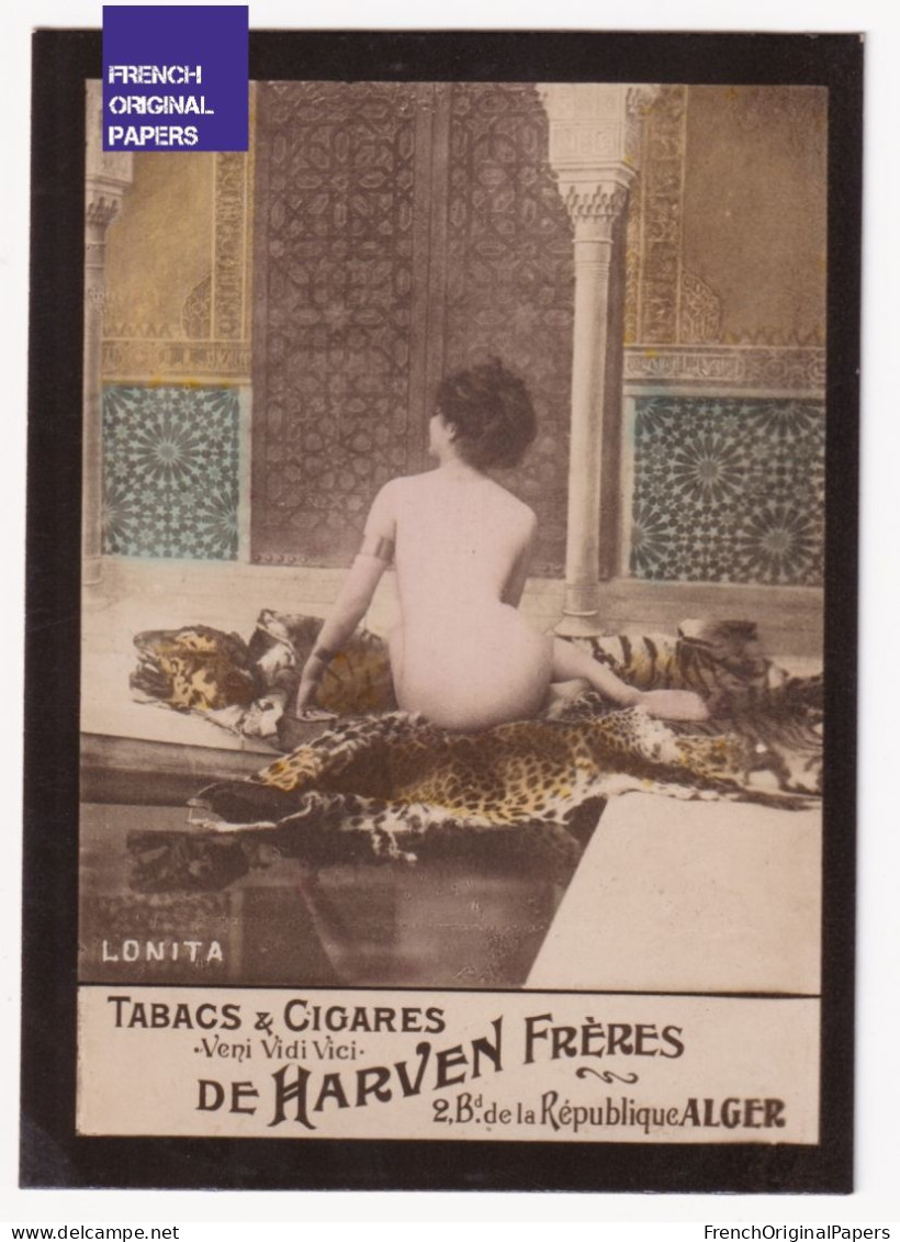 Lonita - Cigarettes De Harven 1900/10 Photo Femme Sexy Lady Pin-up Woman Nue Nude Nu Seins Nus Vintage Alger Tigre A62-8 - Other Brands