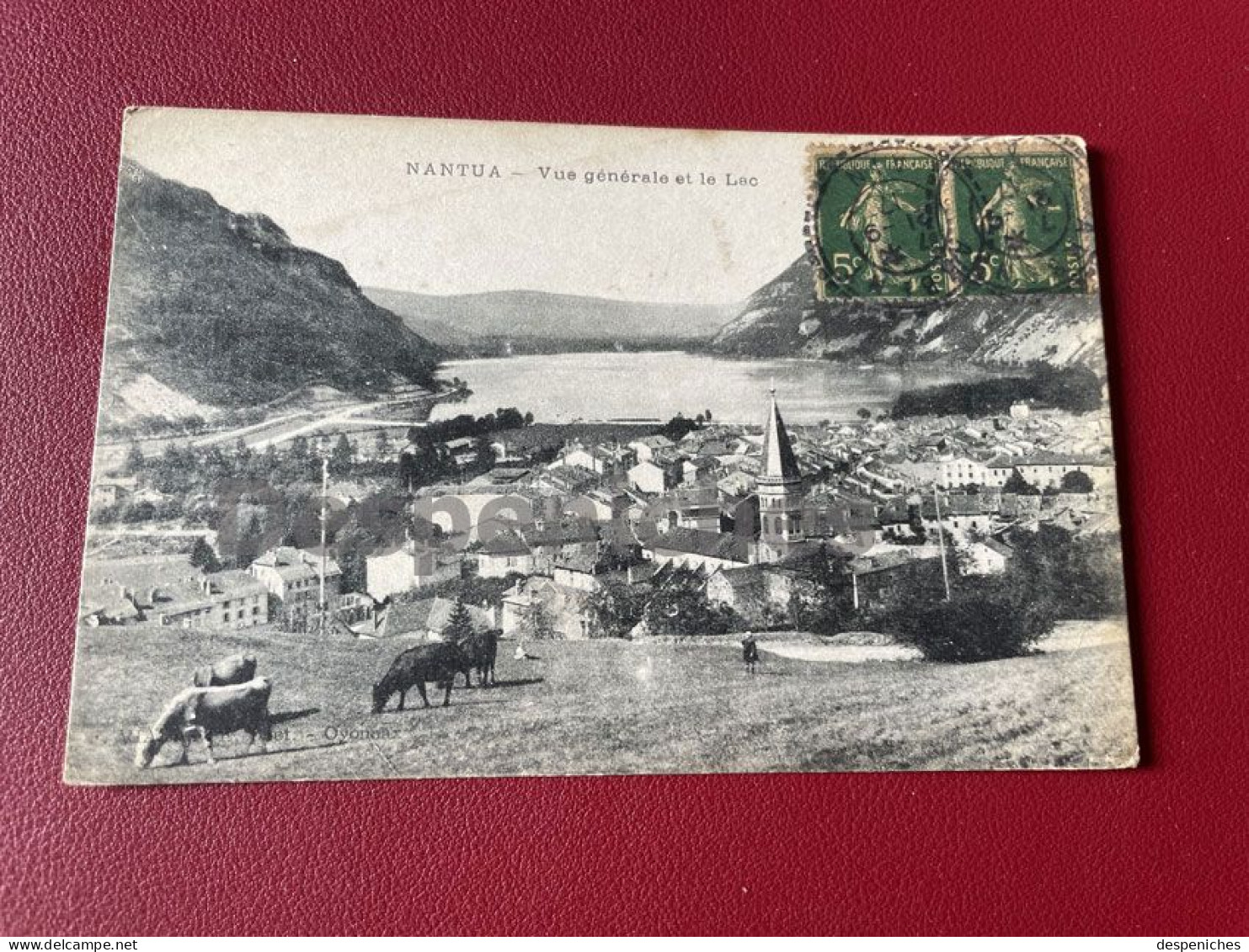 01130 Nantua - Vue Générale Et Le Lac - Nantua