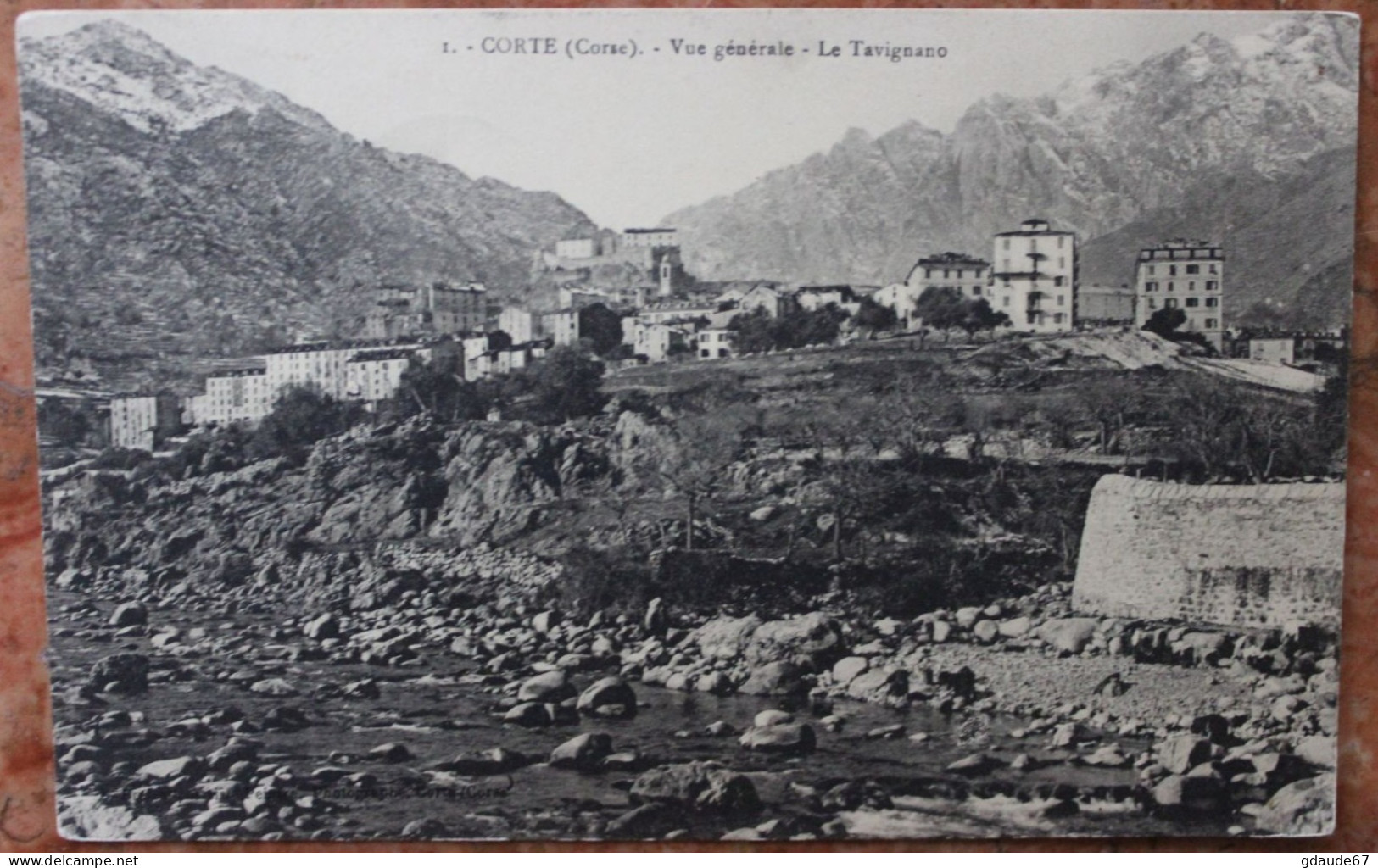 CORTE (HAUTE CORSE) - VUE GENERALE - LE TAVIGNANO - Corte