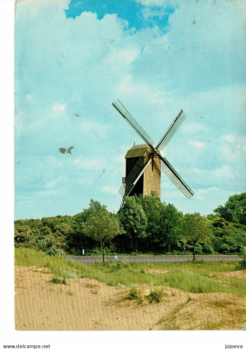 KOKSIJDE  Vieux Moulin - Koksijde