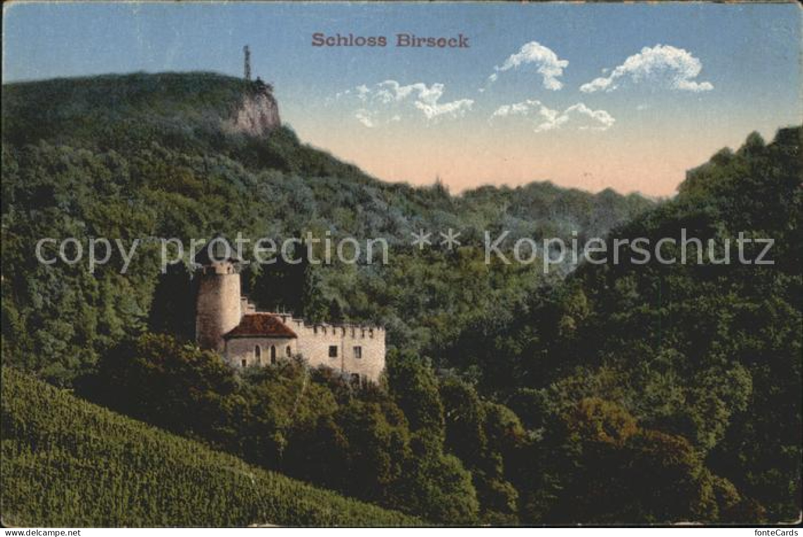 11755471 Arlesheim Schloss Birseck Arlesheim - Autres & Non Classés