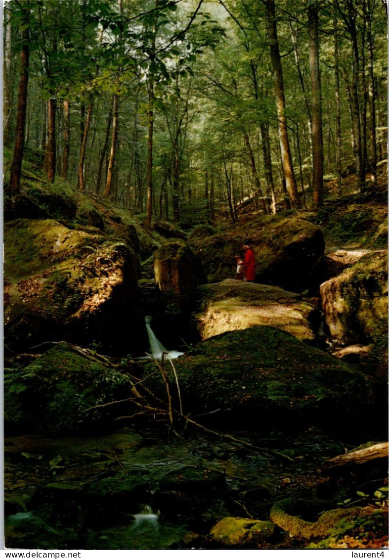4-5-2024 (4 Z 8) Belgium  - Petite Suisse Luxembourgeoise (2 Postcards) With Trees Etc - Árboles
