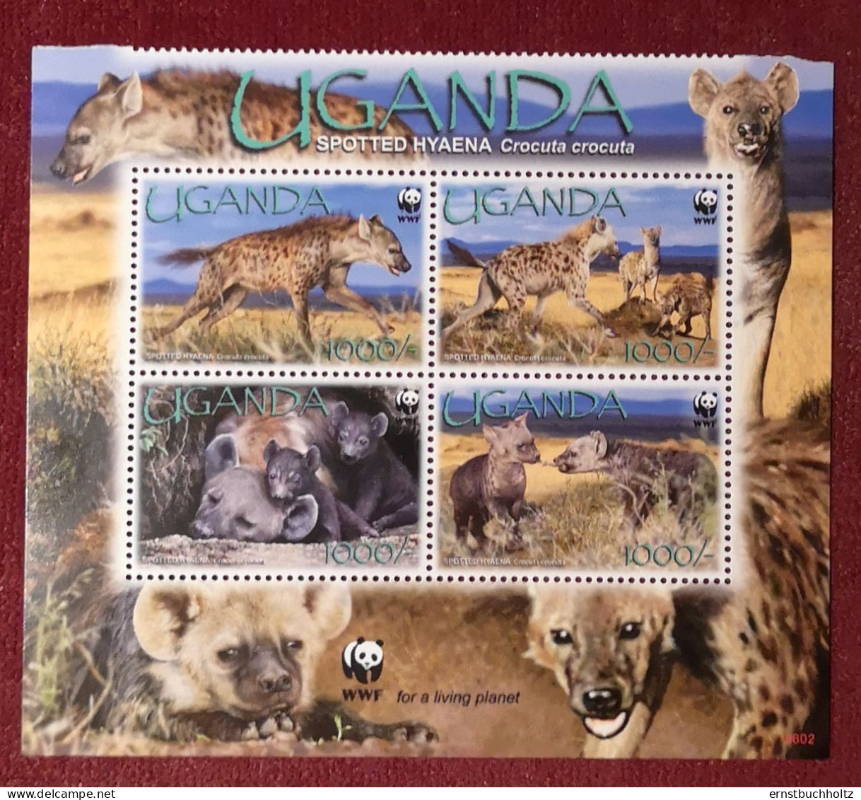 Uganda 2008 Hyänen WWF Block 4v** Mi 2663/66** - Ouganda (1962-...)