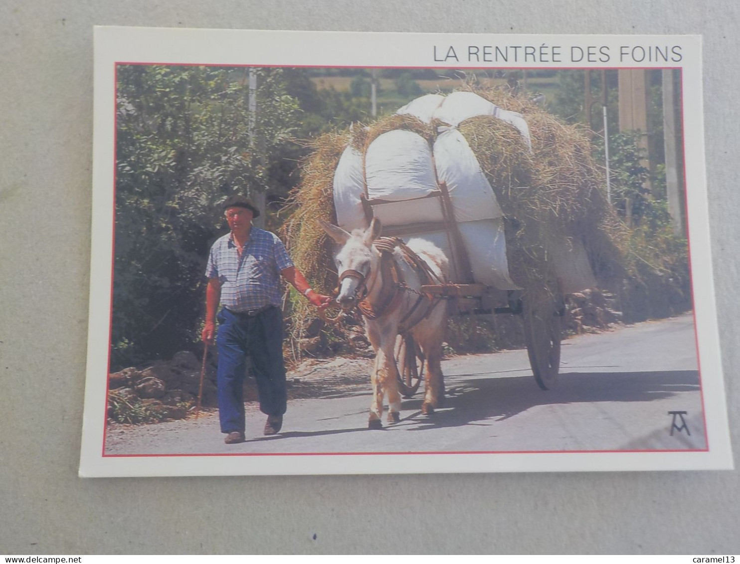 CPSM -  AU PLUS RAPIDE - CHEVAUX - LA RENTREE DES FOINS  - NON VOYAGEE - - Horses