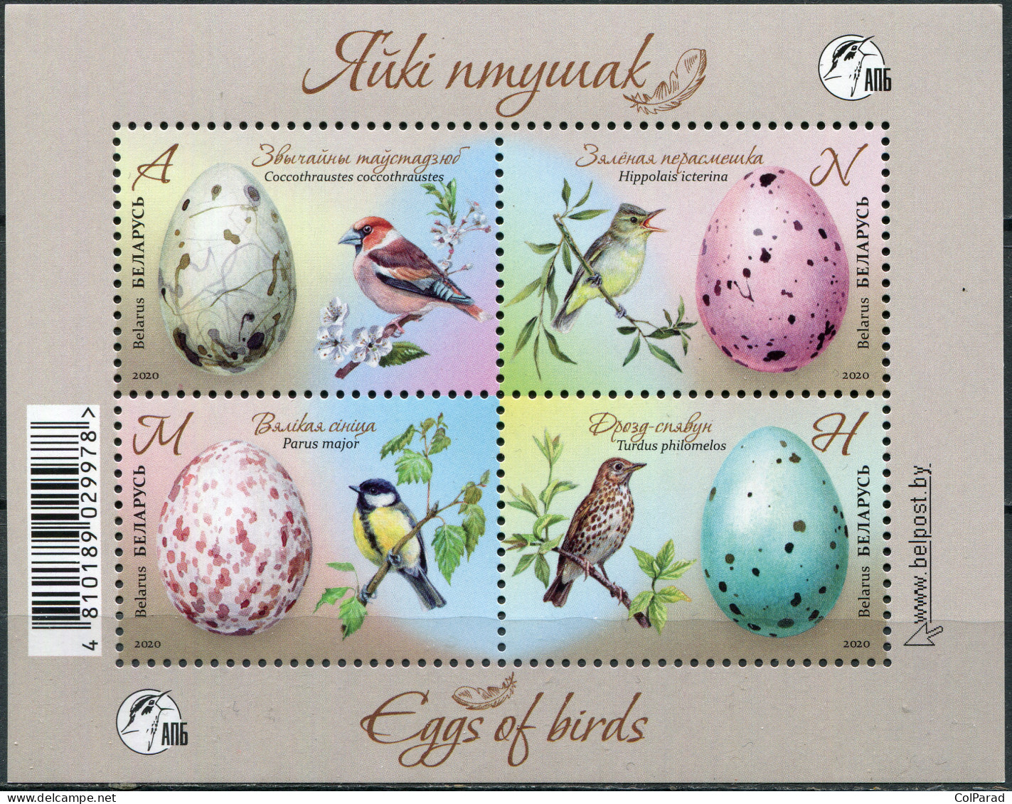 BELARUS - 2020 - SOUVENIR SHEET MNH ** - Birds And Their Eggs - Belarus
