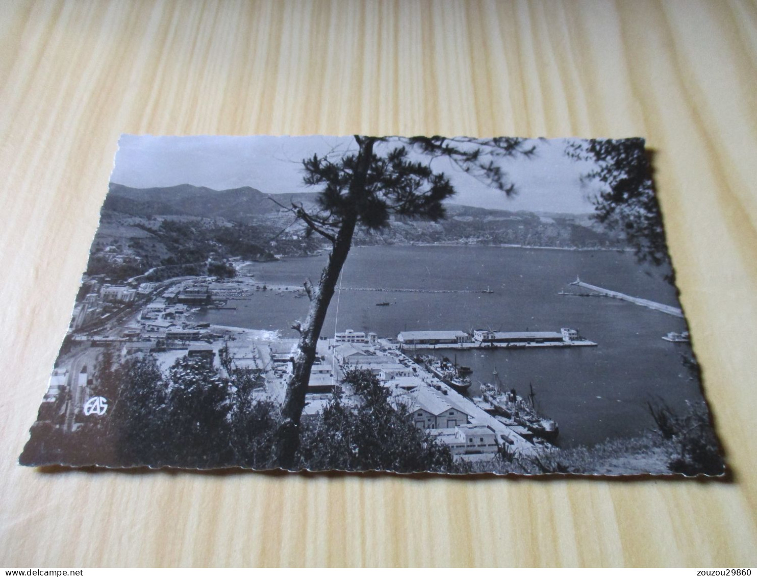 CPSM Philippeville (Algérie).Vue Générale De La Baie. - Skikda (Philippeville)