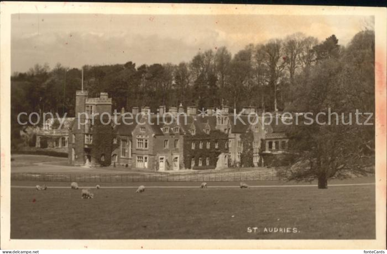 11751946 St Audries Park Manor House Sheeps West Somerset - Autres & Non Classés