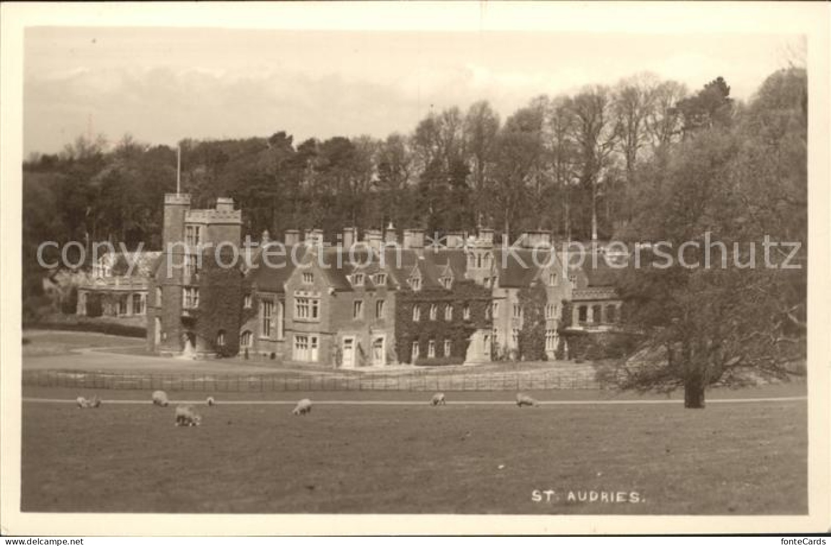 11751944 St Audries Park Manor House Sheeps West Somerset - Sonstige & Ohne Zuordnung