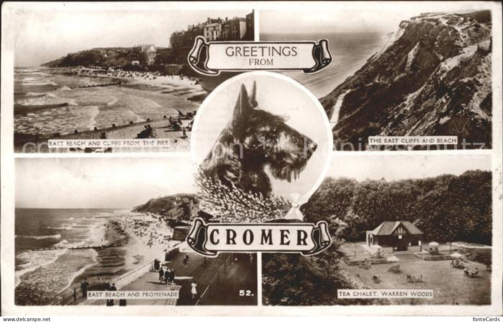 11751888 Cromer Beach Cliffs Promenade Tea Chalet Warren Woods Dog Excel Series  - Sonstige & Ohne Zuordnung