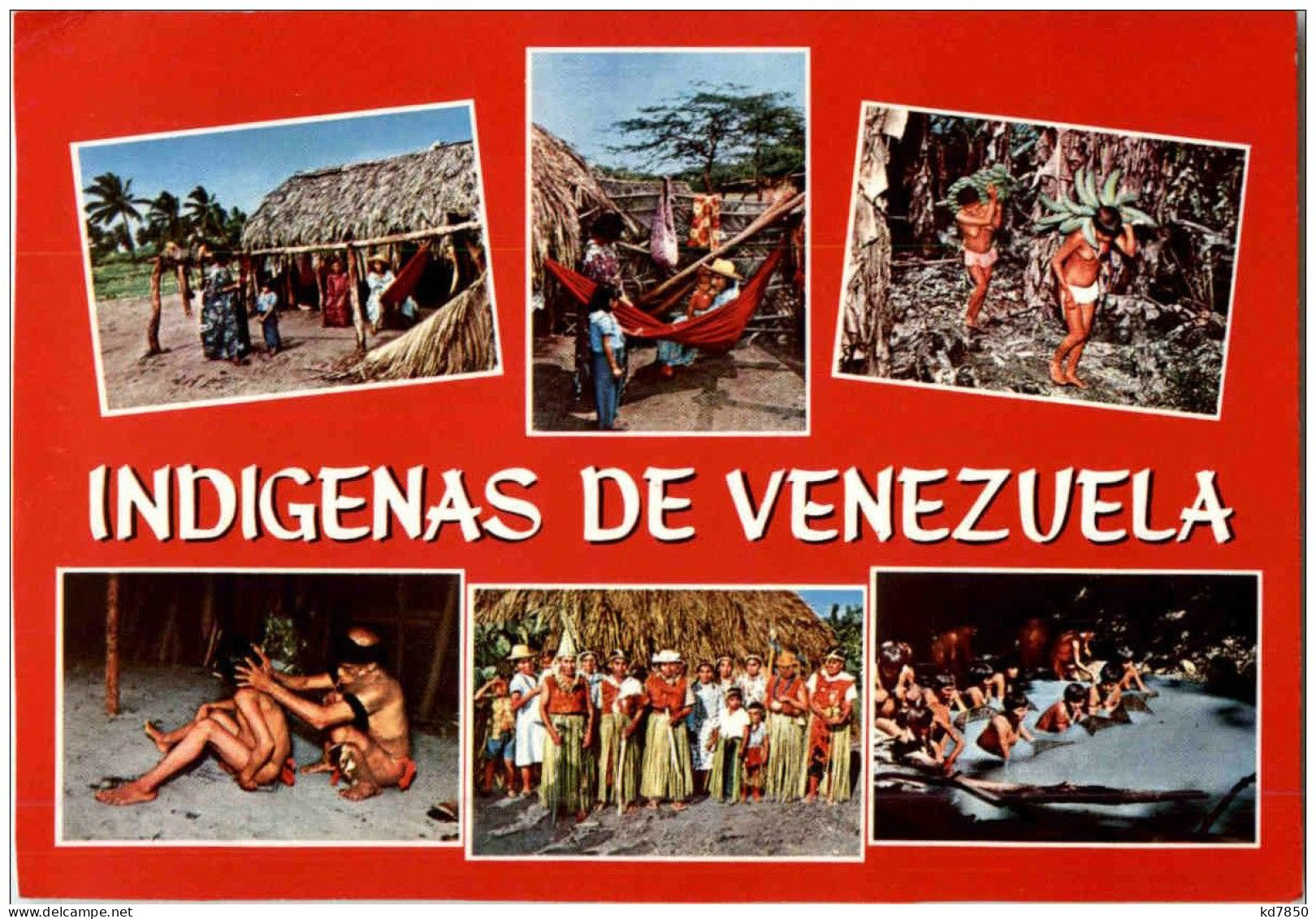 Indigenas De Venezuela - Venezuela