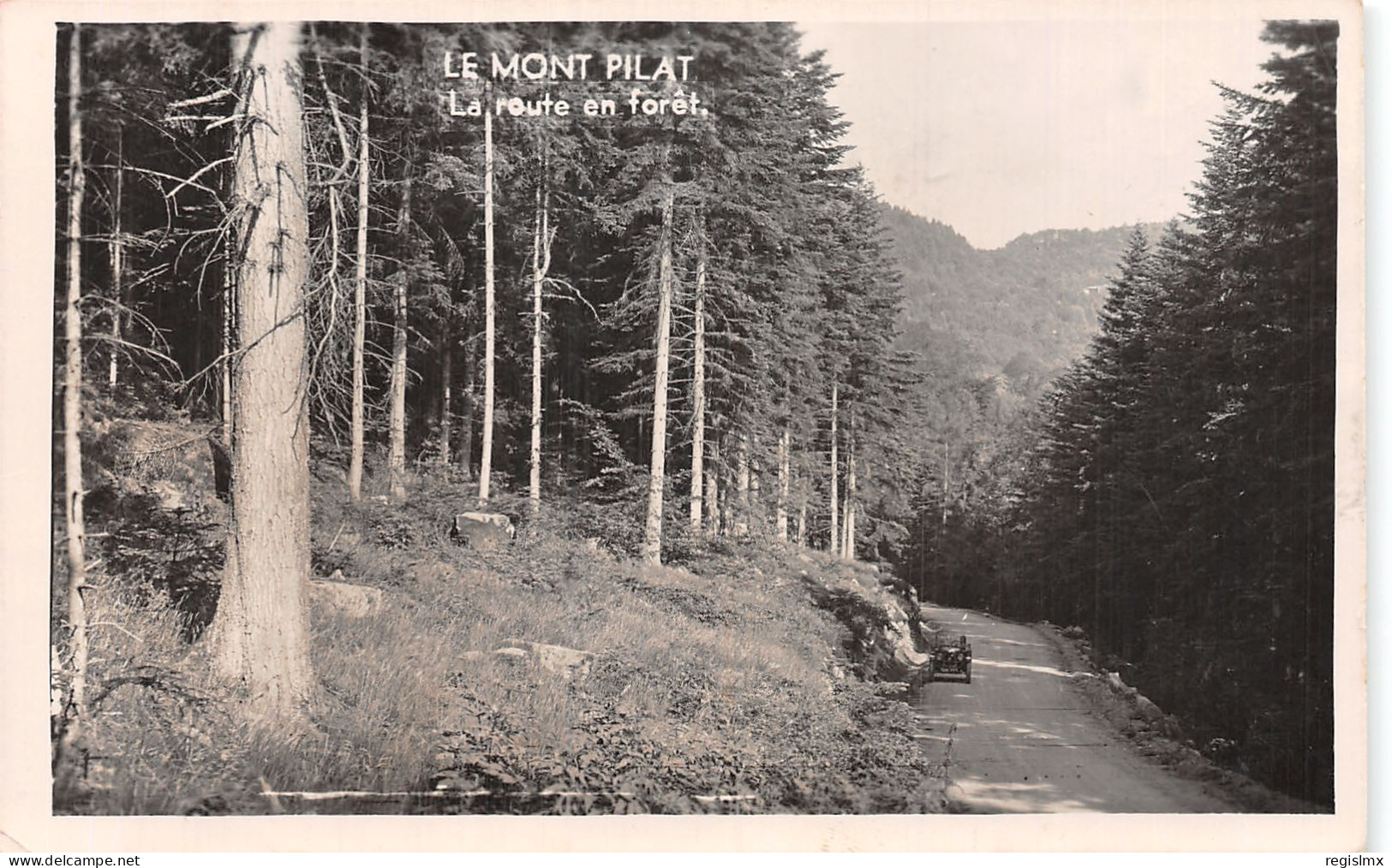 42-MONT PILAT ROUTE EN FORET-N°2126-C/0189 - Mont Pilat