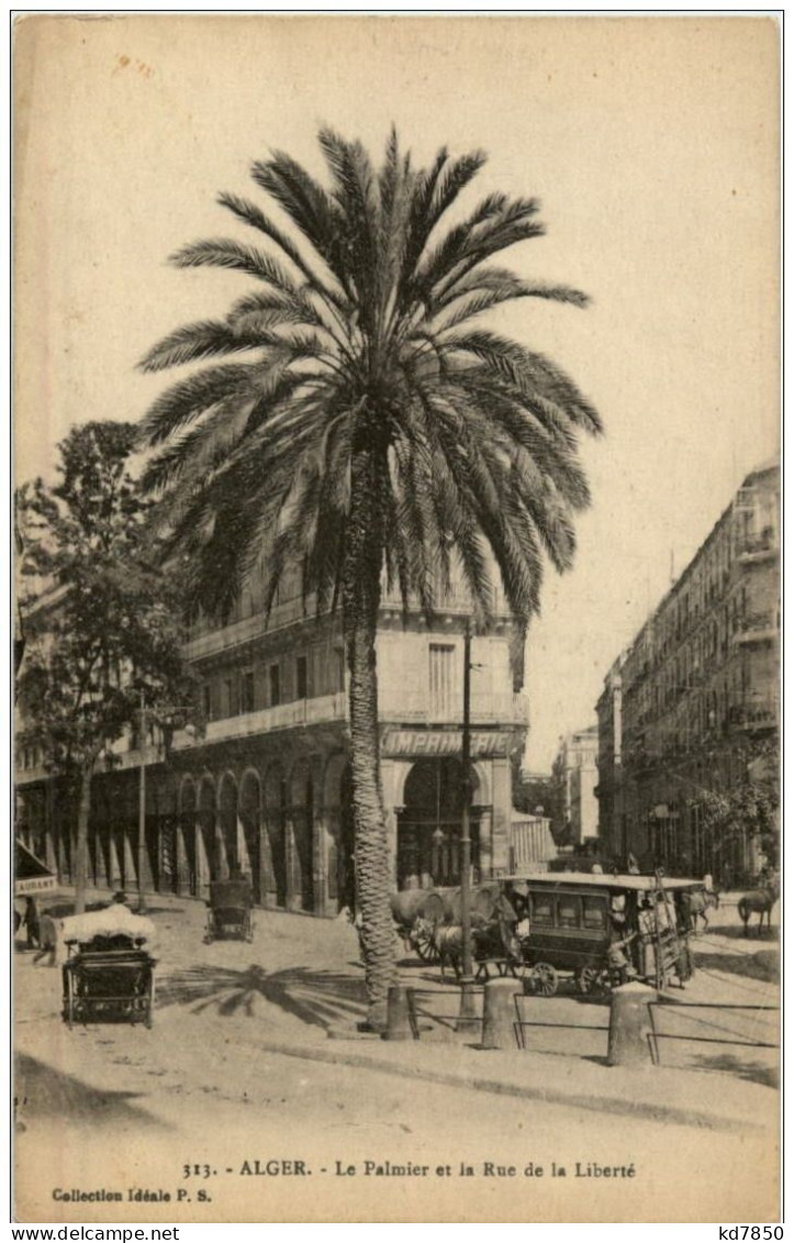 Alger - Le Palmier Et La Rue De La Liberte - Algeri
