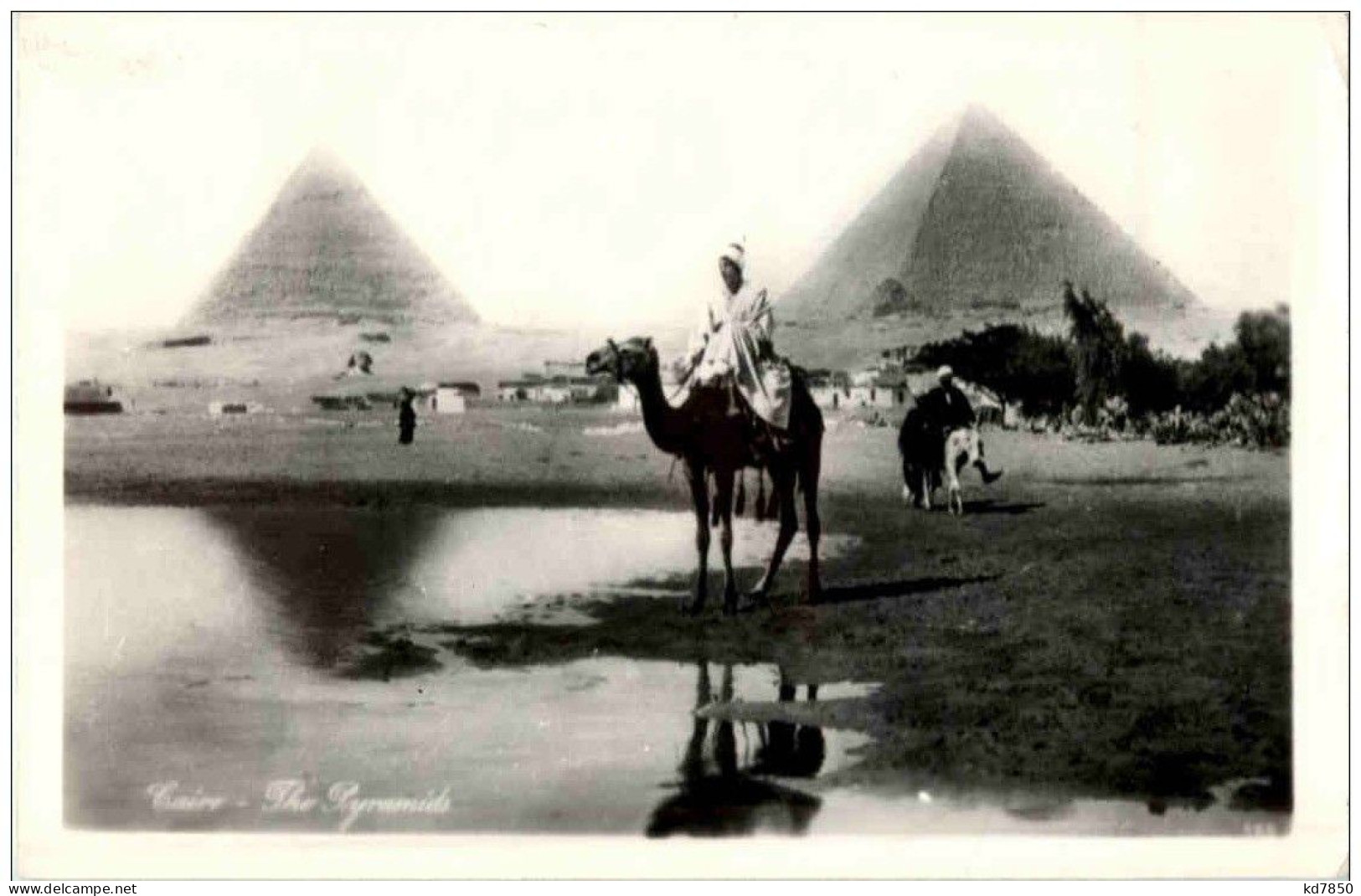 Cairo - The Pyramides - Kairo