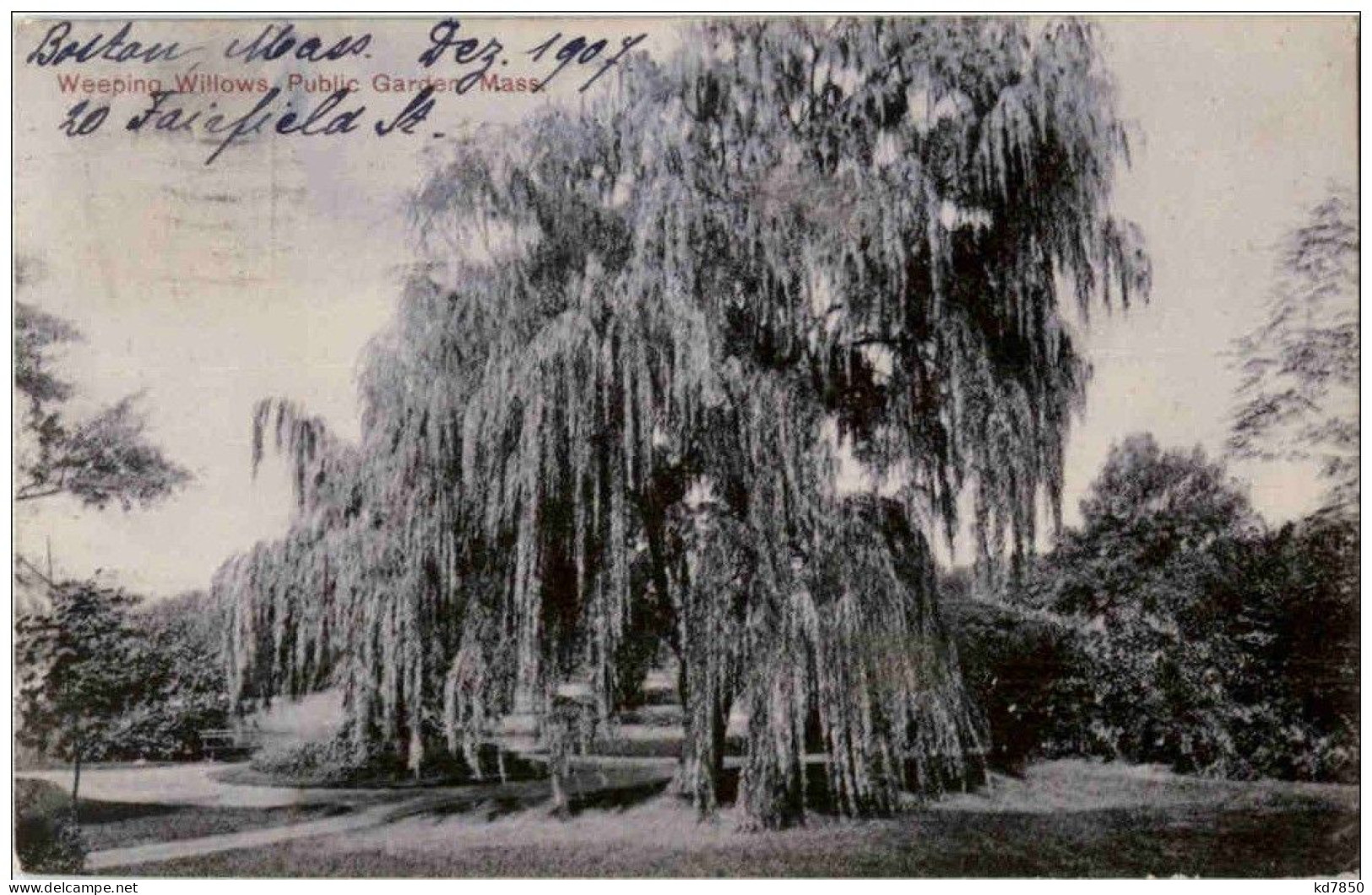 Weeping Willows Public Garden - Sonstige & Ohne Zuordnung